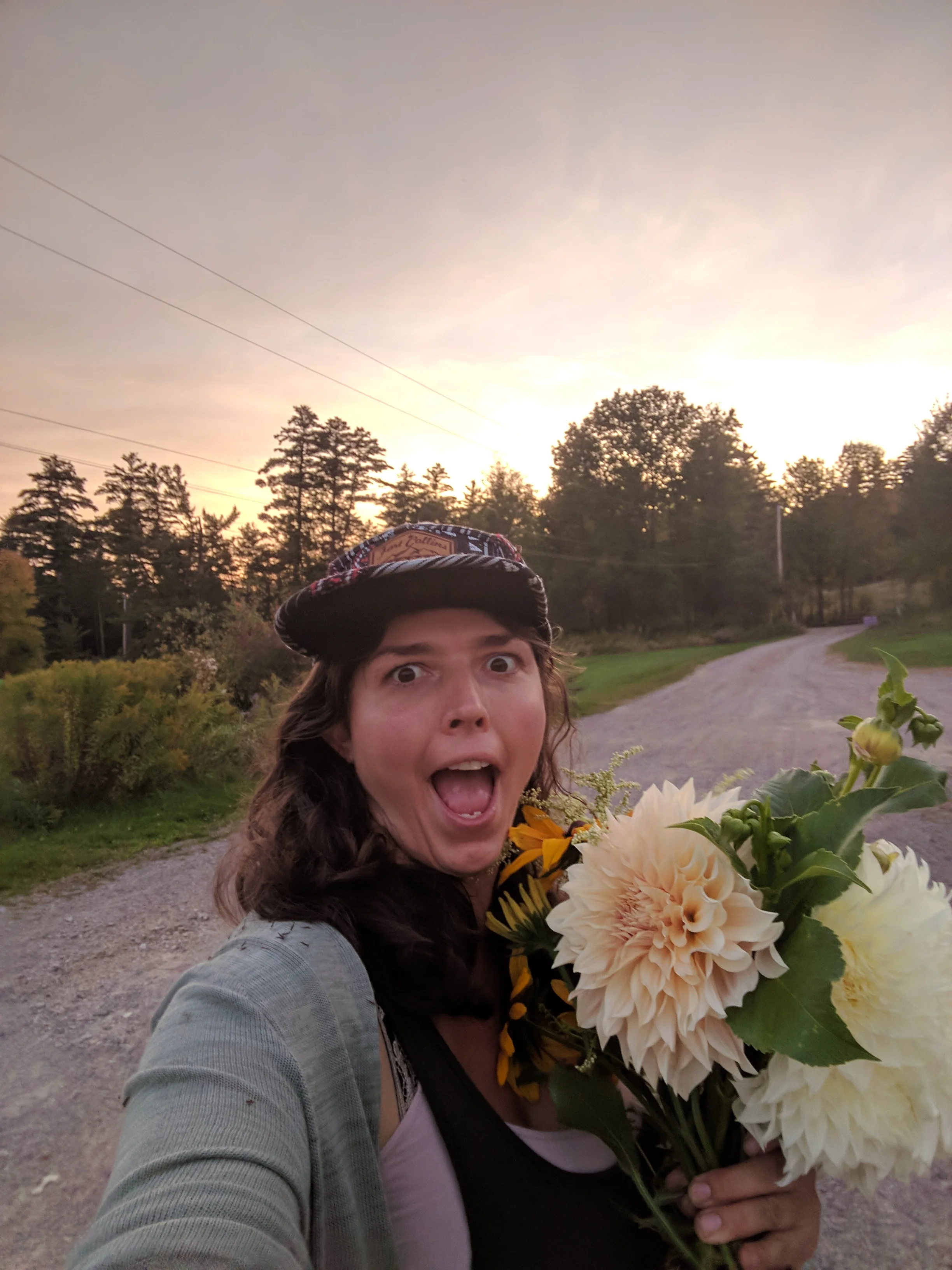 contact us — Apis Garden Coaching