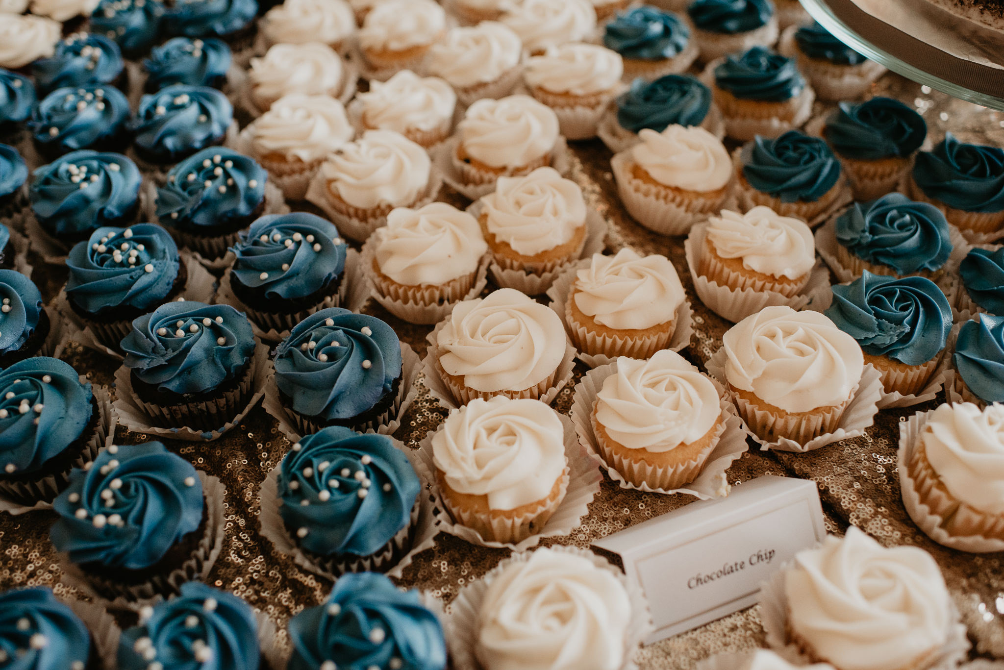 Patrick Henry Ballroom - Weddings - Virginia Wedding Photographe