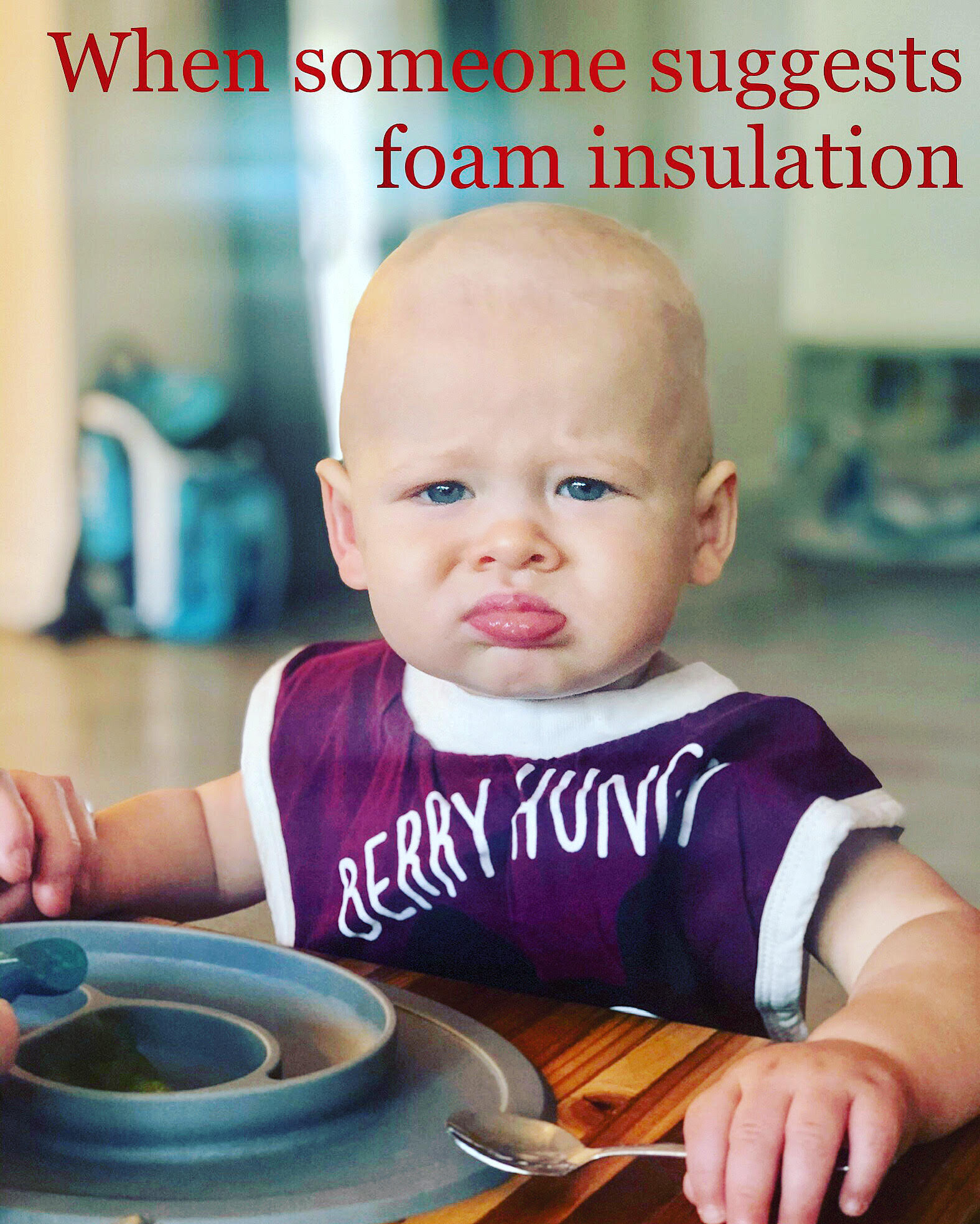 When someone suggests foam insulation.jpg