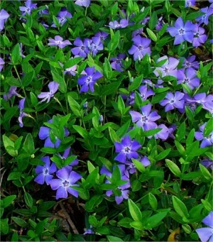 image002.jpg