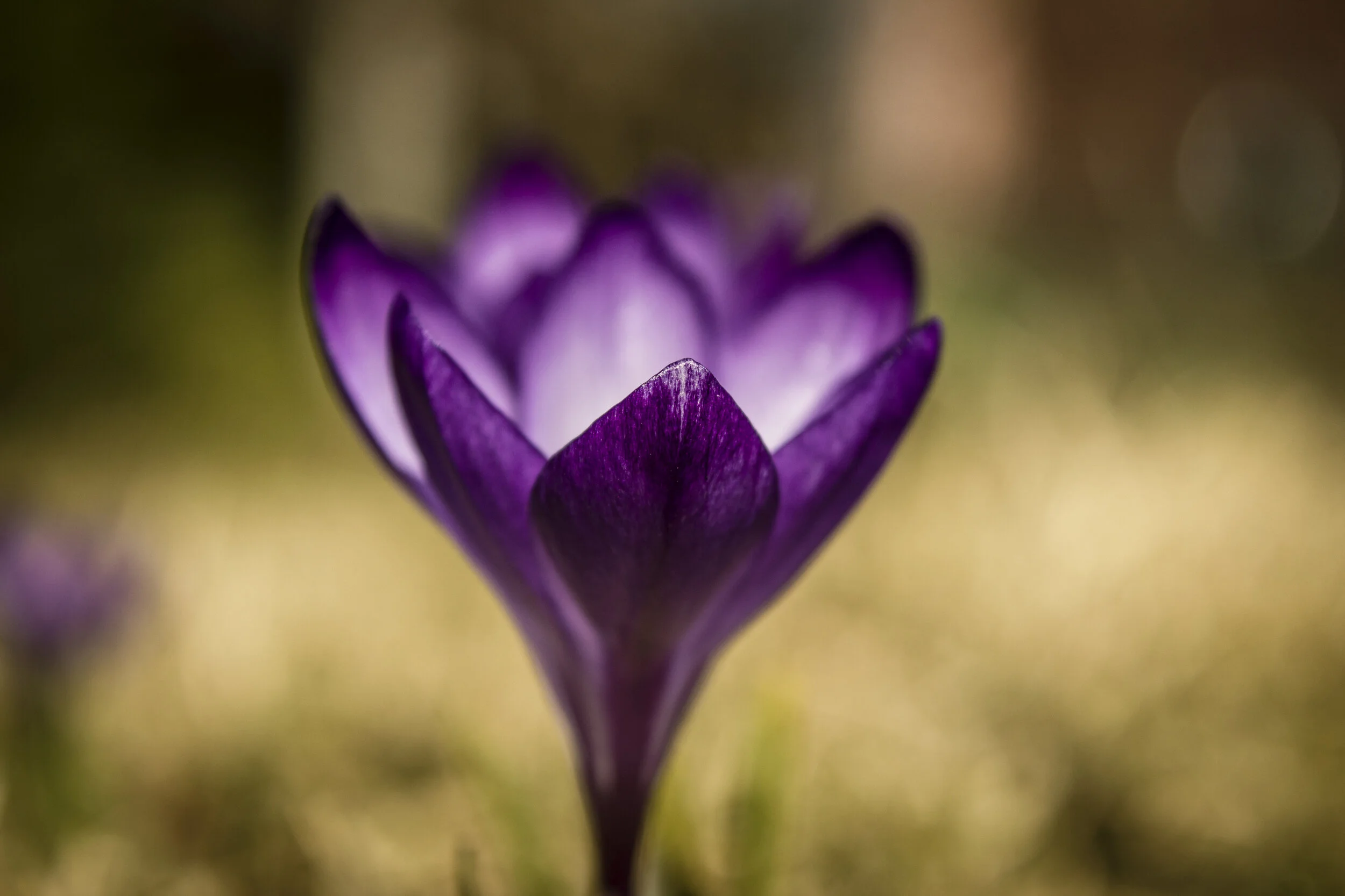 Love is not one-size-fits-all