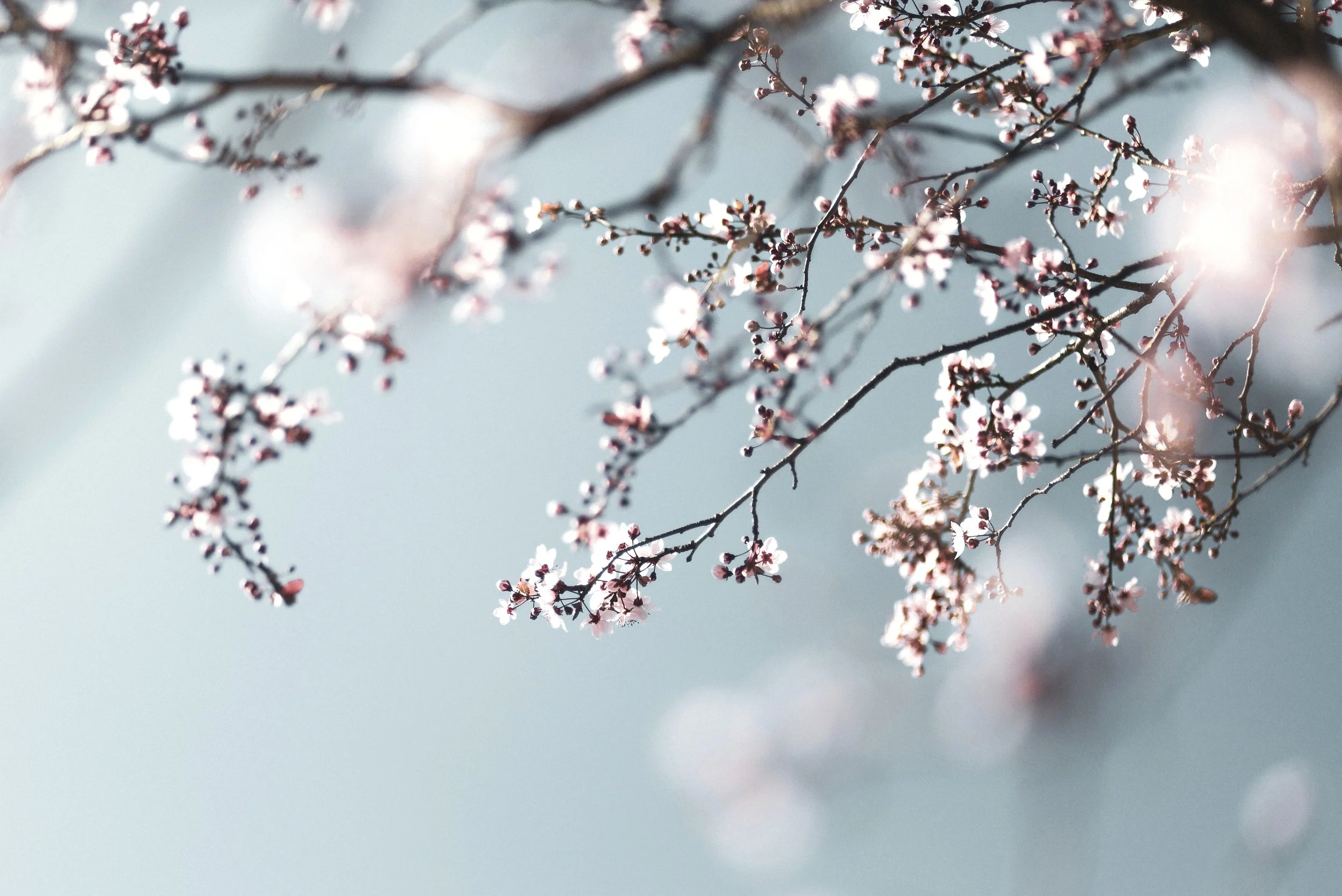 What do you NEED now to feel ok?