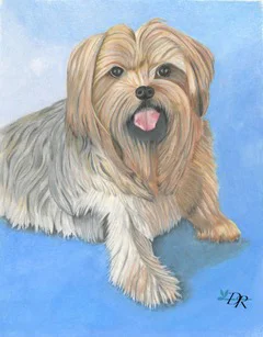 Deborah-Roberts_Diesel-Silky-Yorkie-96dpi.jpg