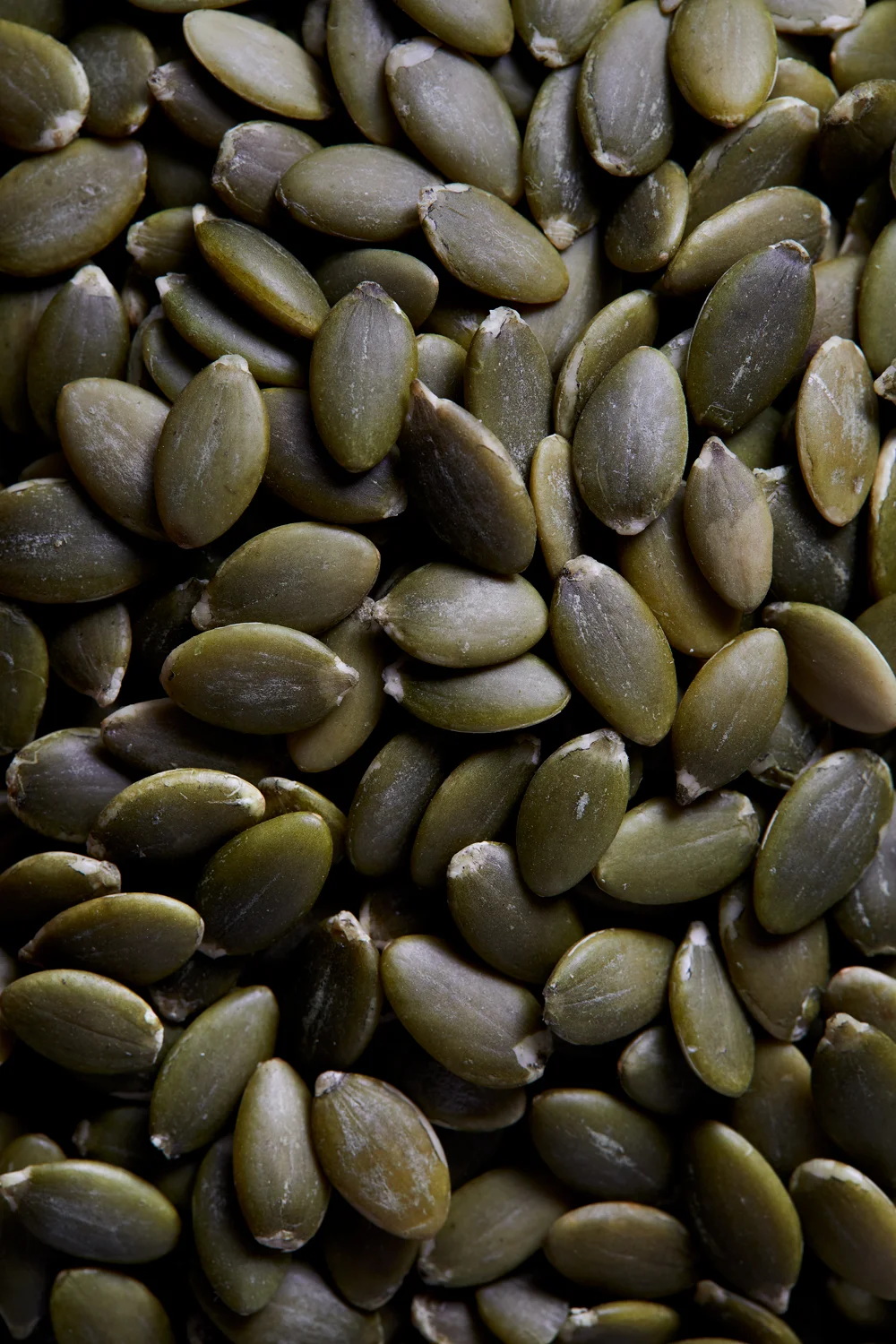Ingredients5298-1.jpg