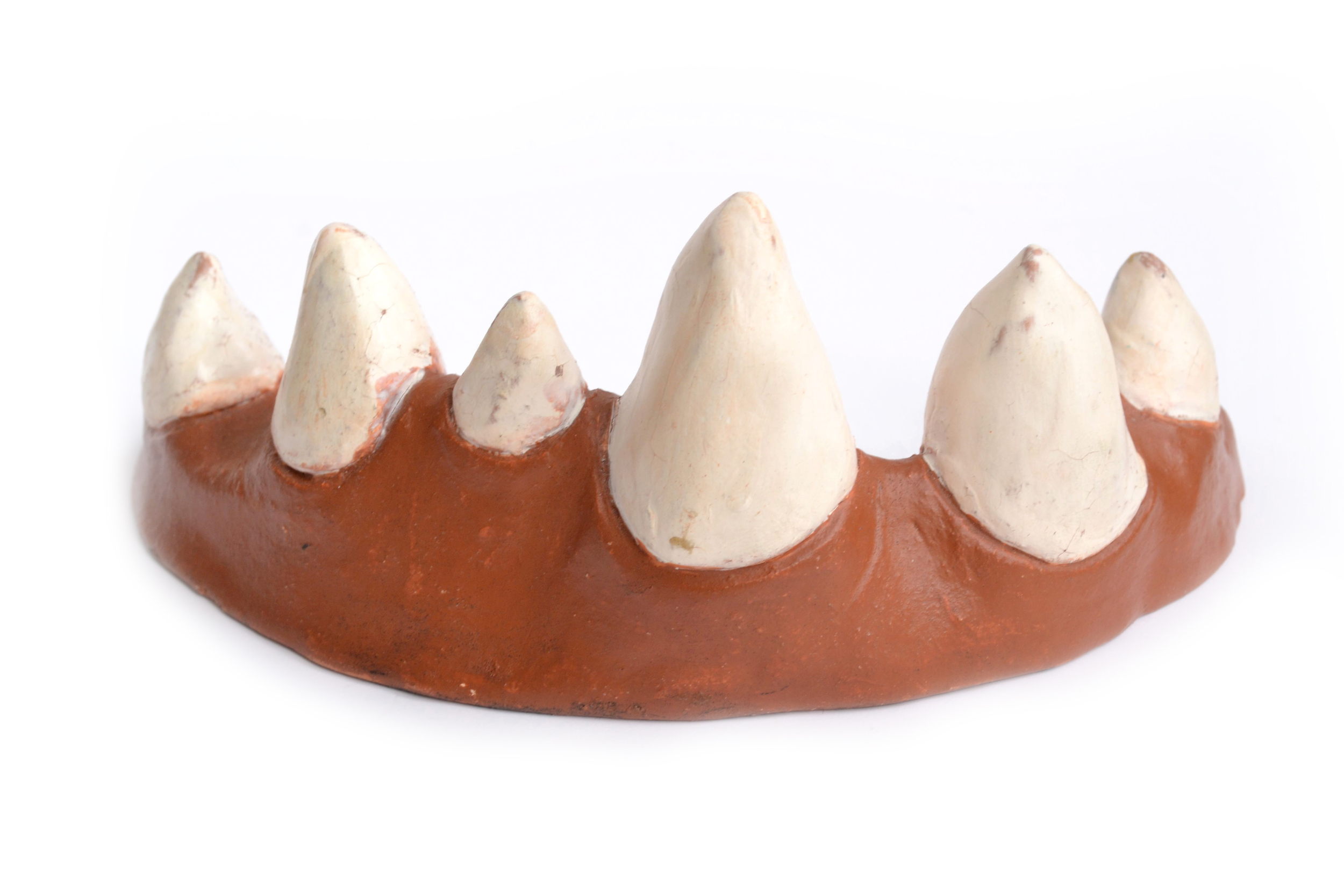 Spoon Rest. Earthenware, terrasigilata, 2014