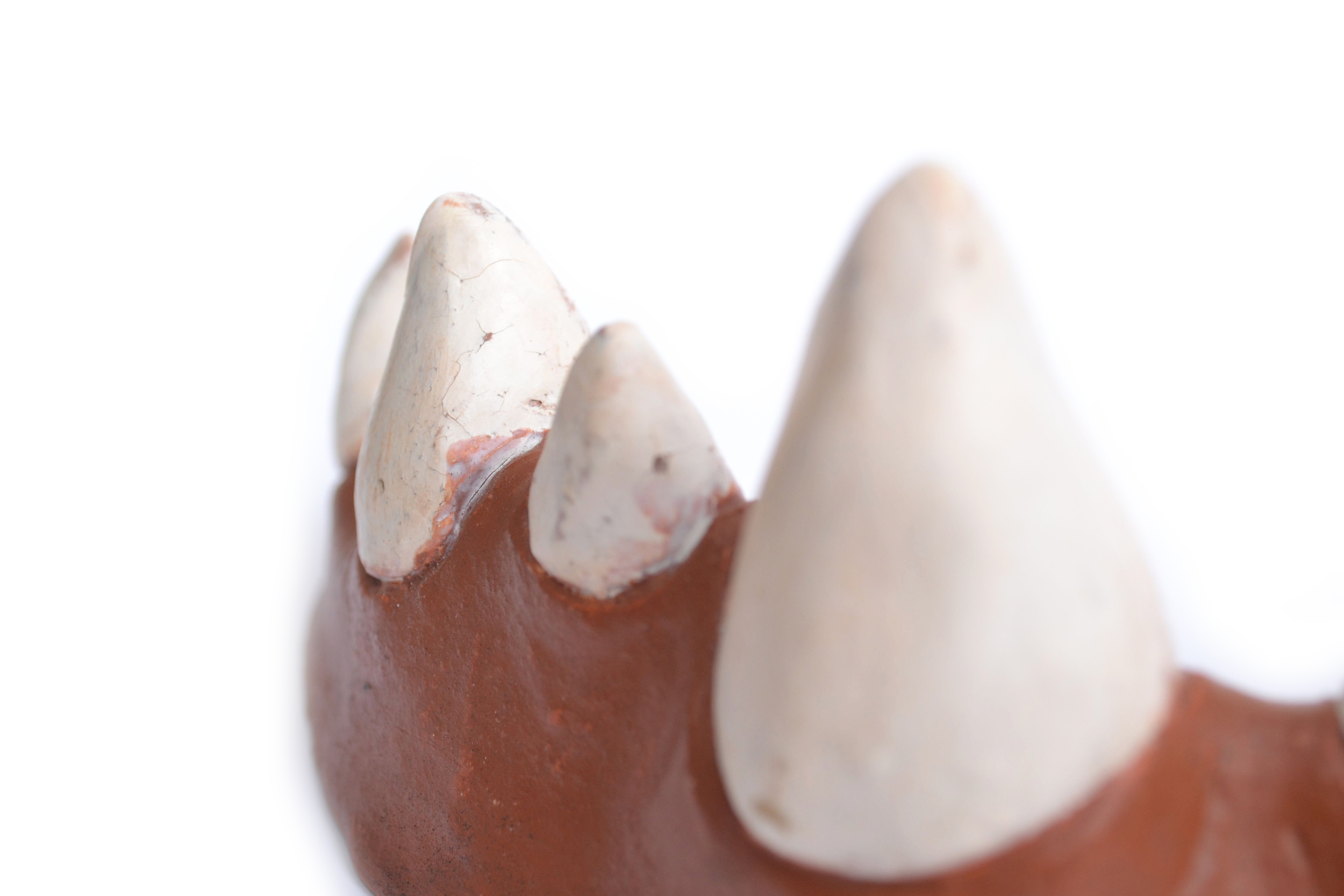 Spoon Rest. Earthenware, terrasigilata, 2014