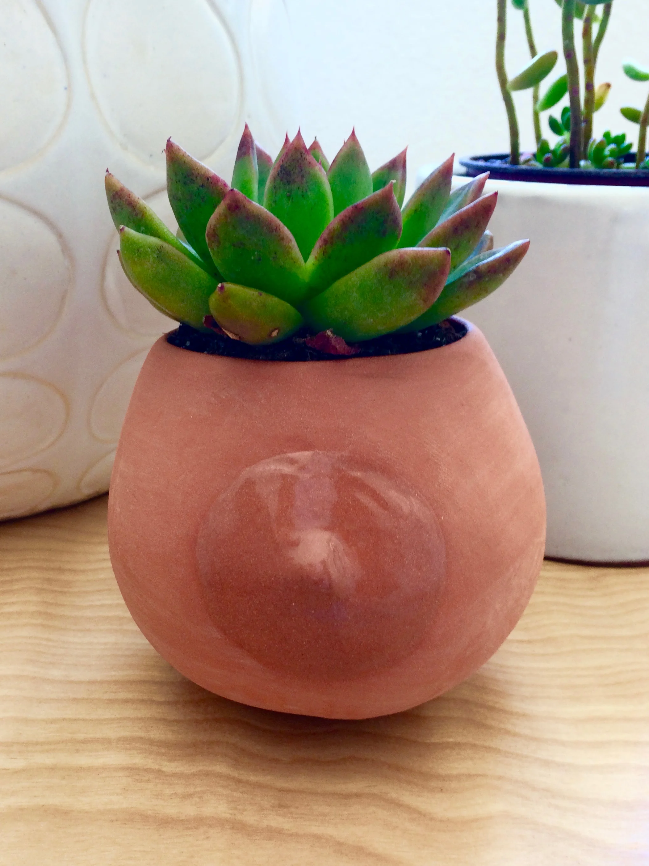 nip planter.jpg