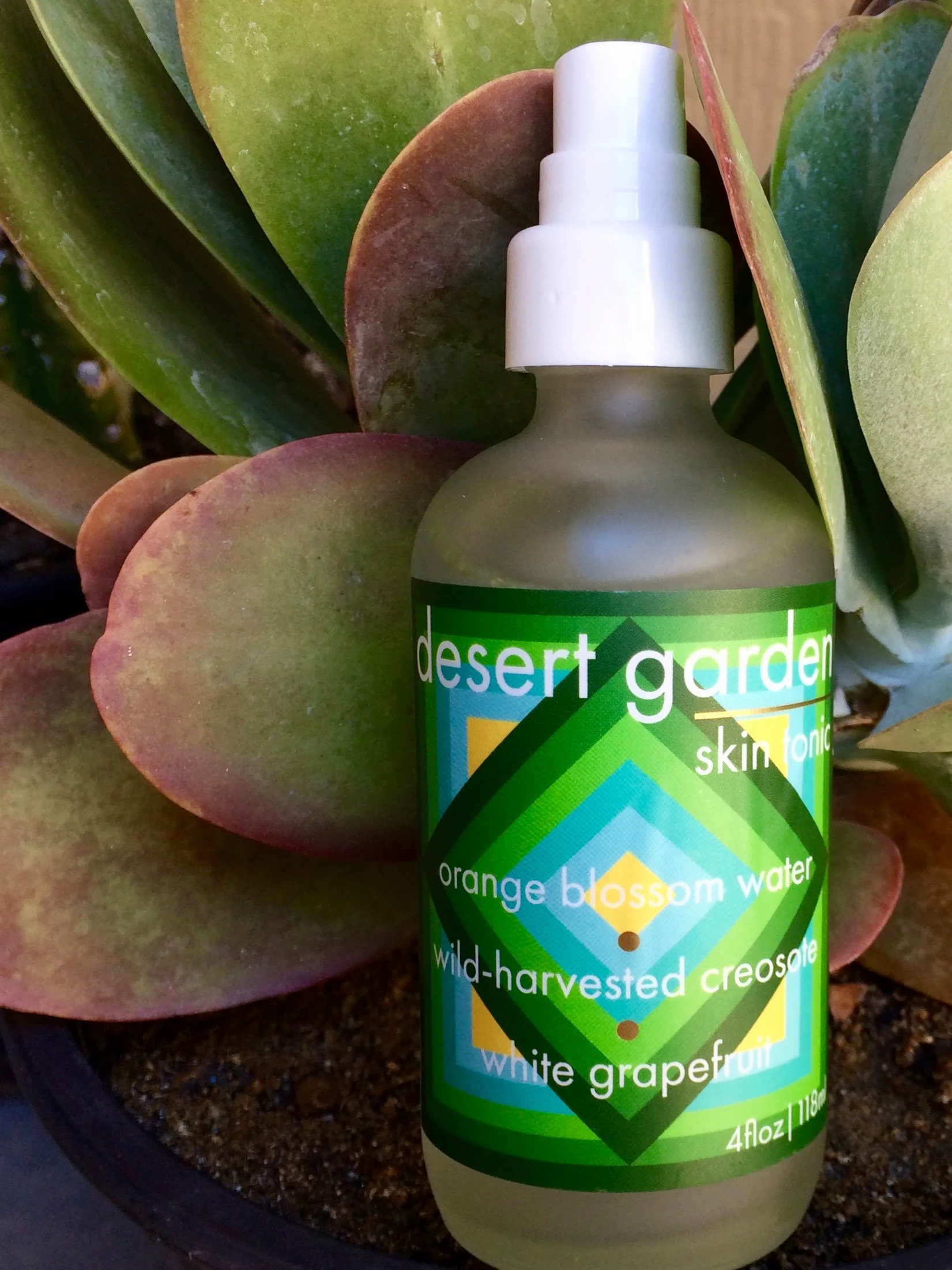 desert garden.jpg