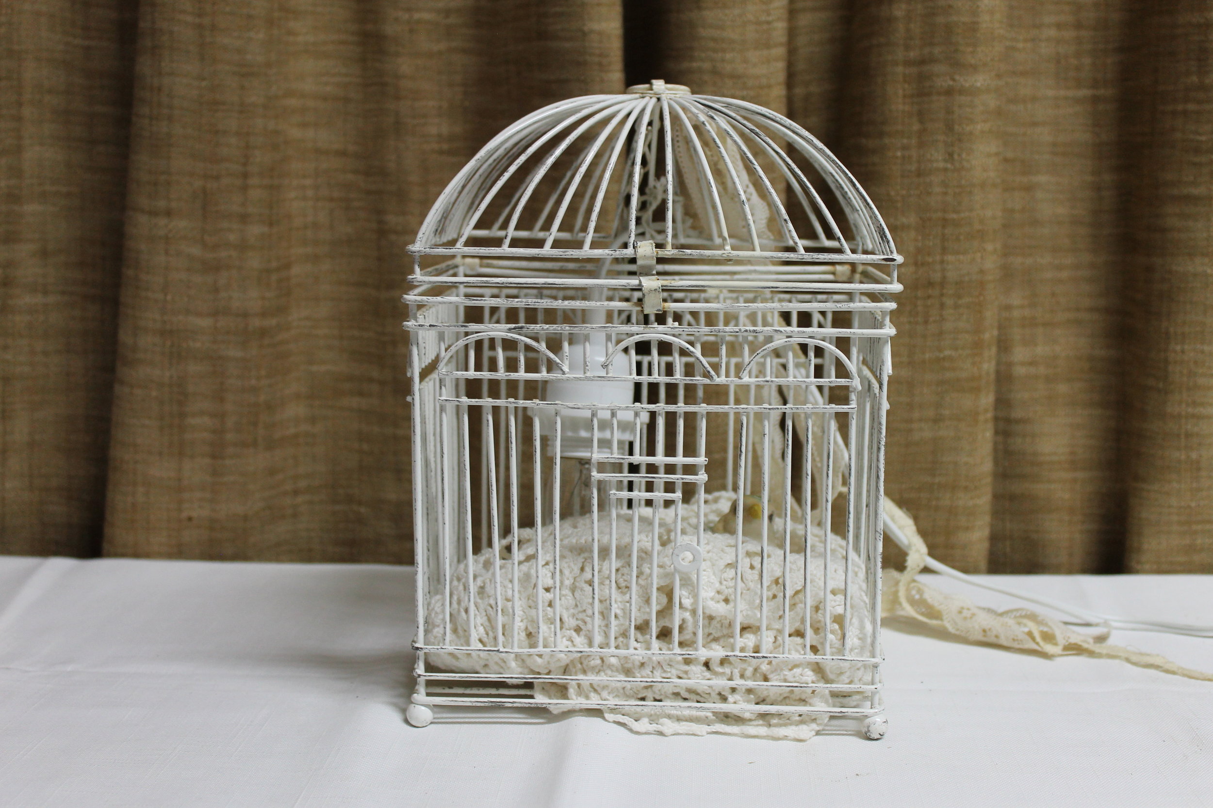 Custom Bird Cage Lamp