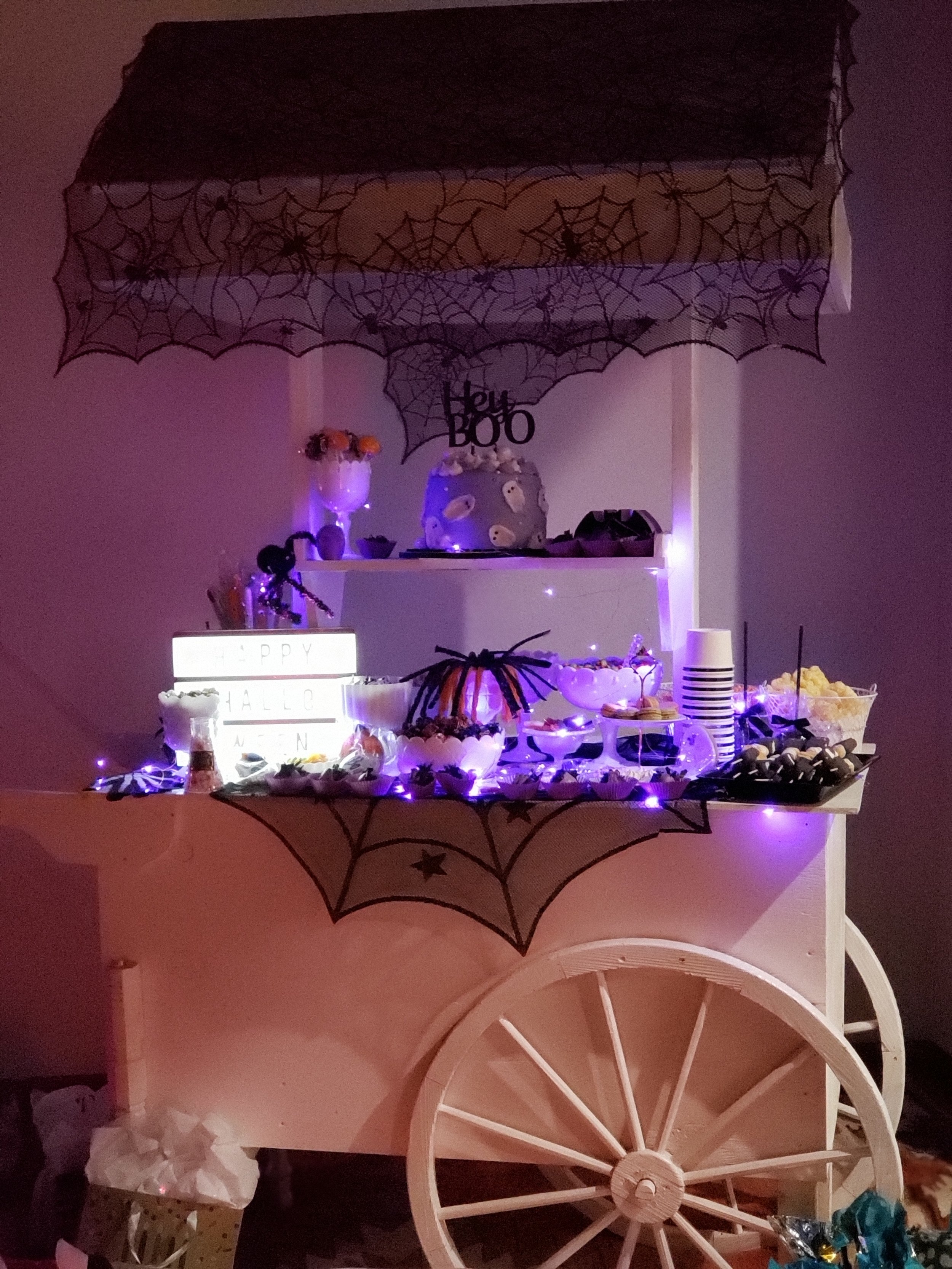 Purple Fairy Light Strand