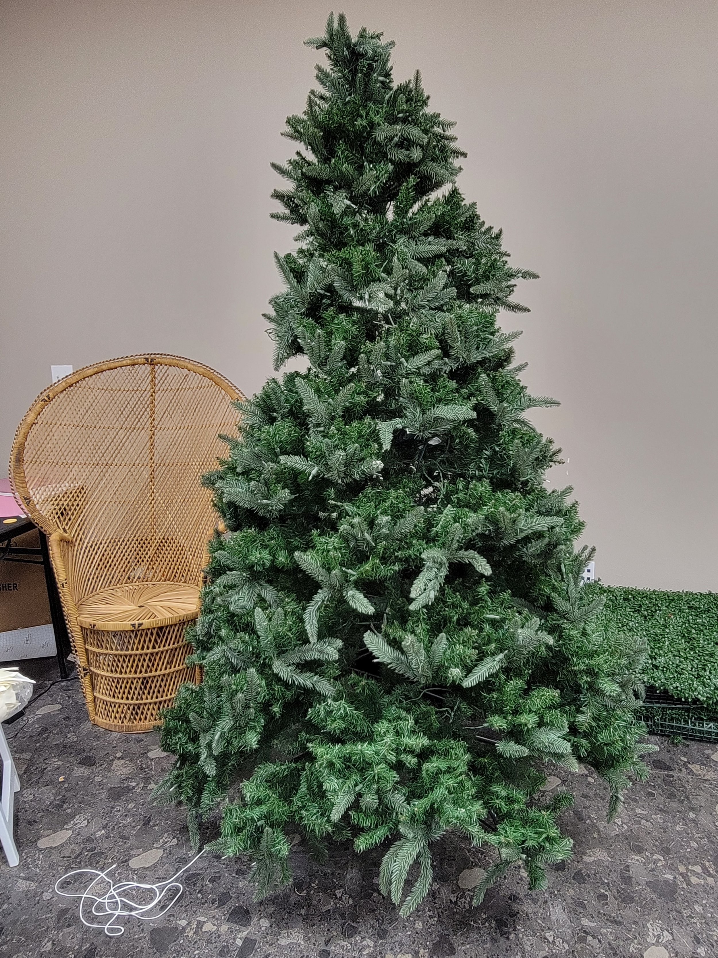 20221121_112546.jpg