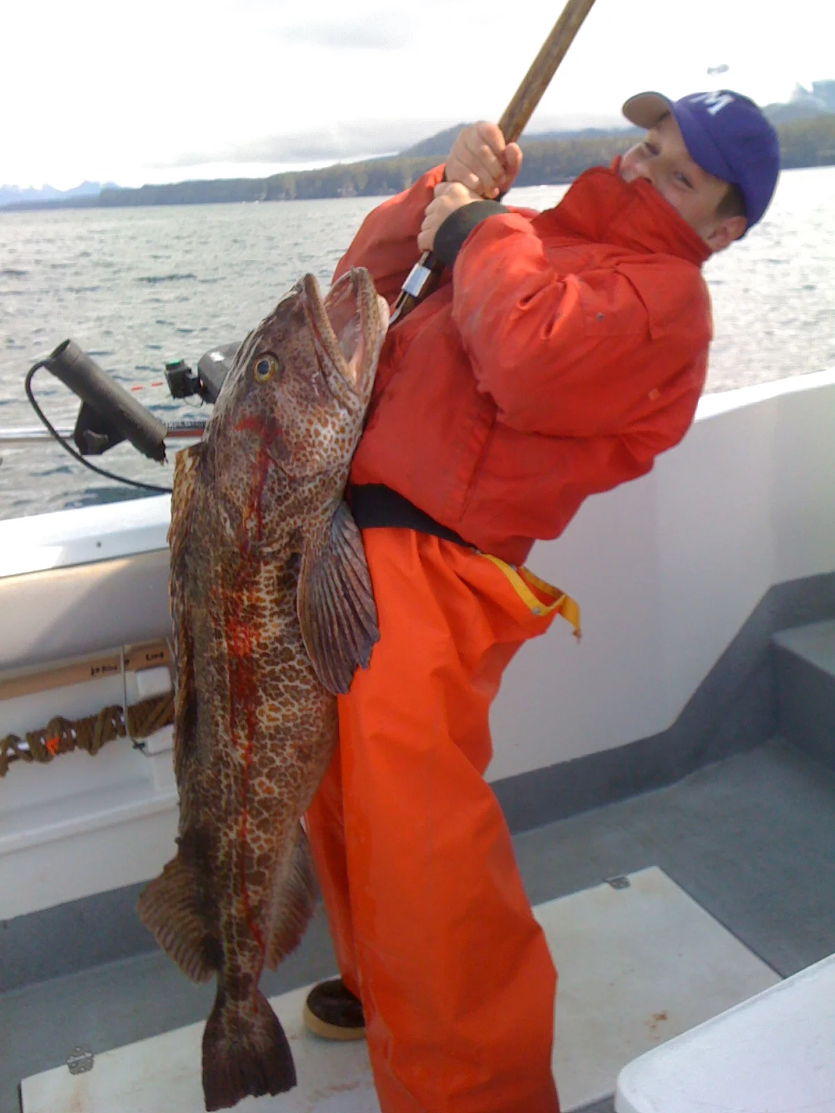 Max lingcod.JPG