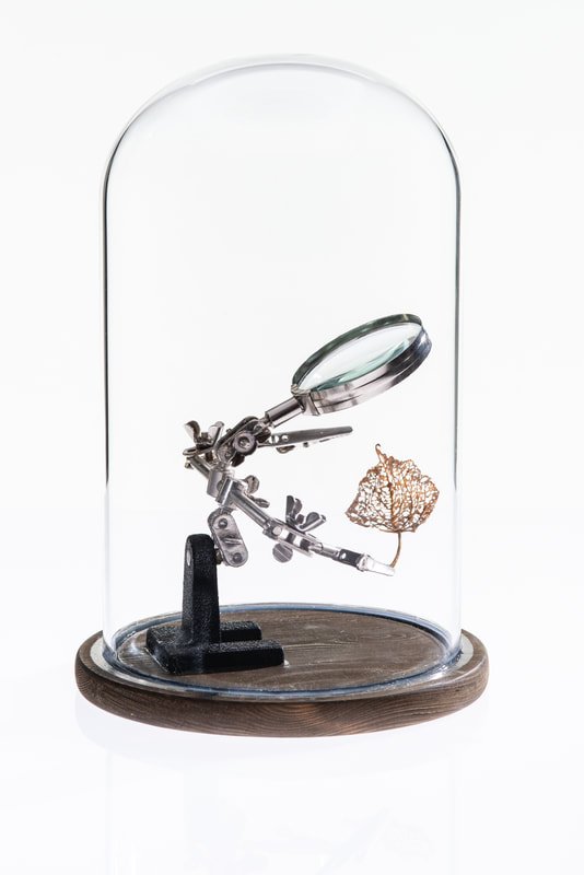  "What remains" (10"x7" - glass dome, organic objects, mixed media) 