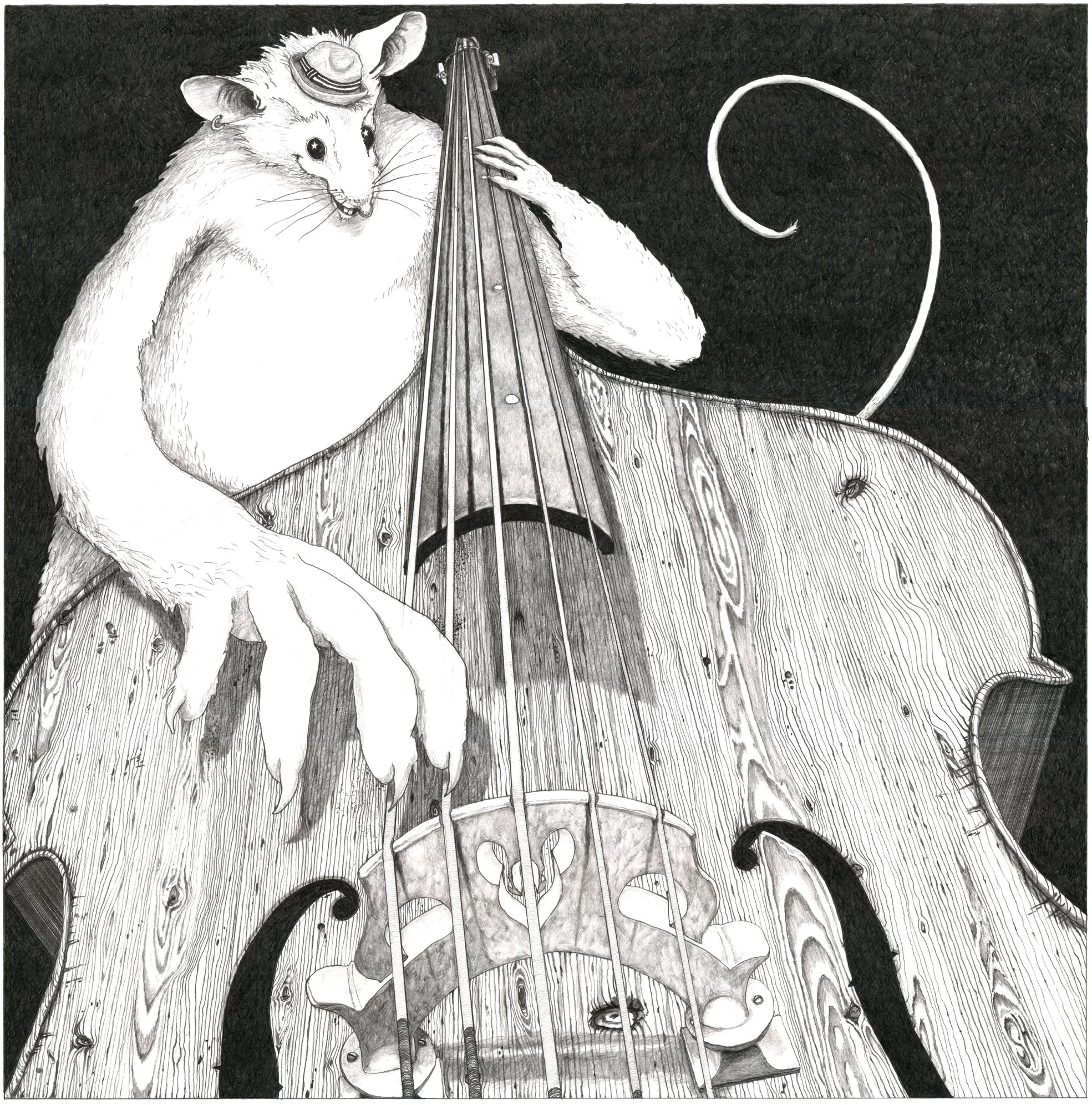 Mouse illustration 200pxl.jpg