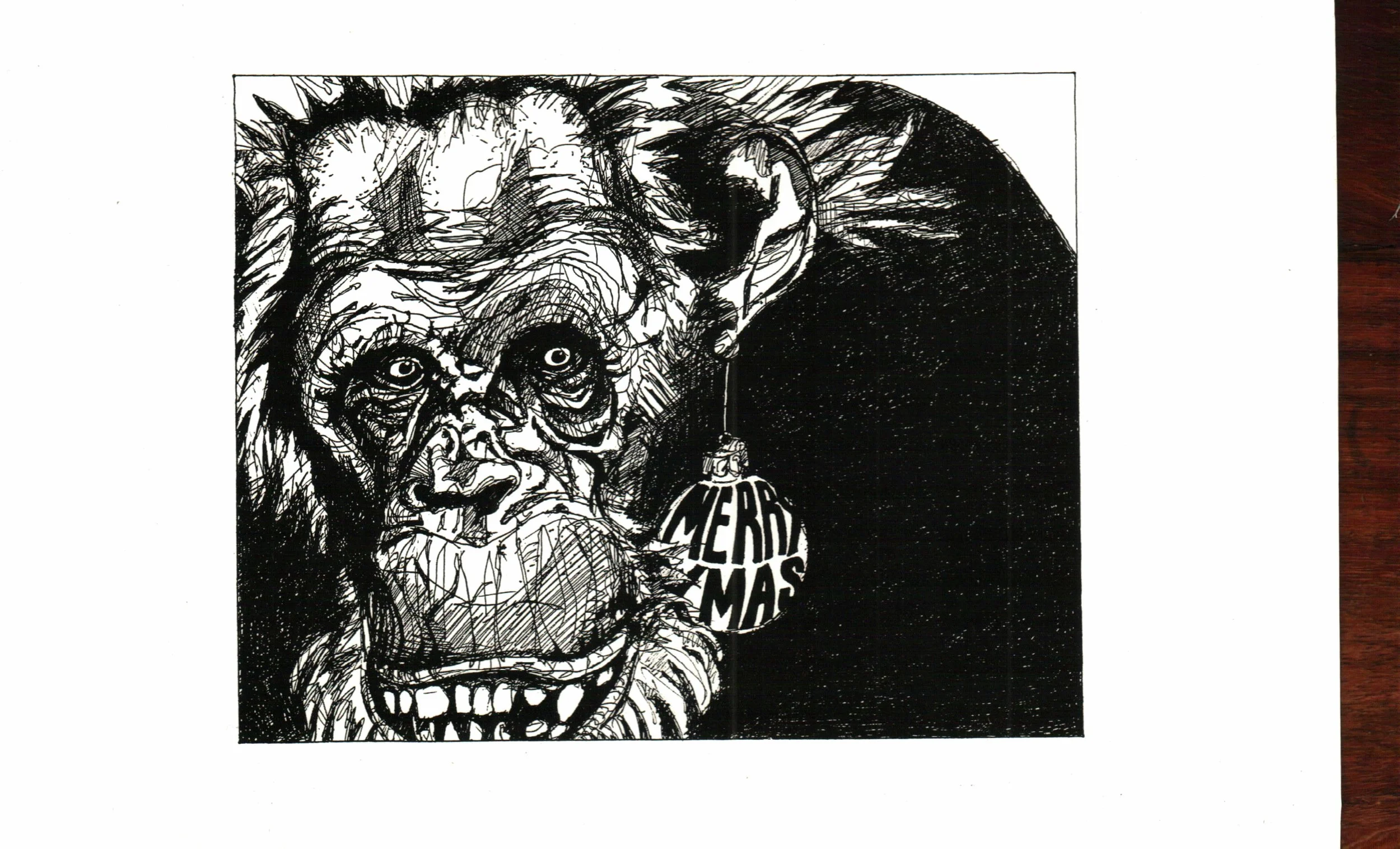 Christmas card monkey.JPG