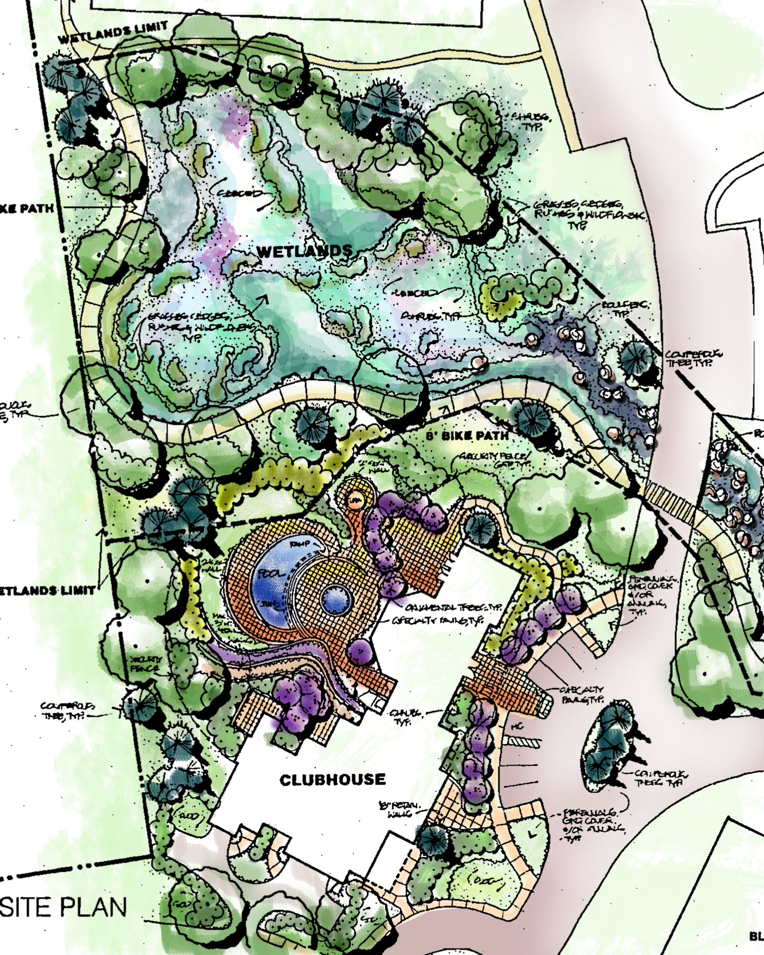 sketch of wetland rendering rev.jpg