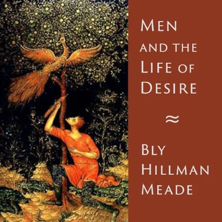 Men and the Life of Desire cover.jpg
