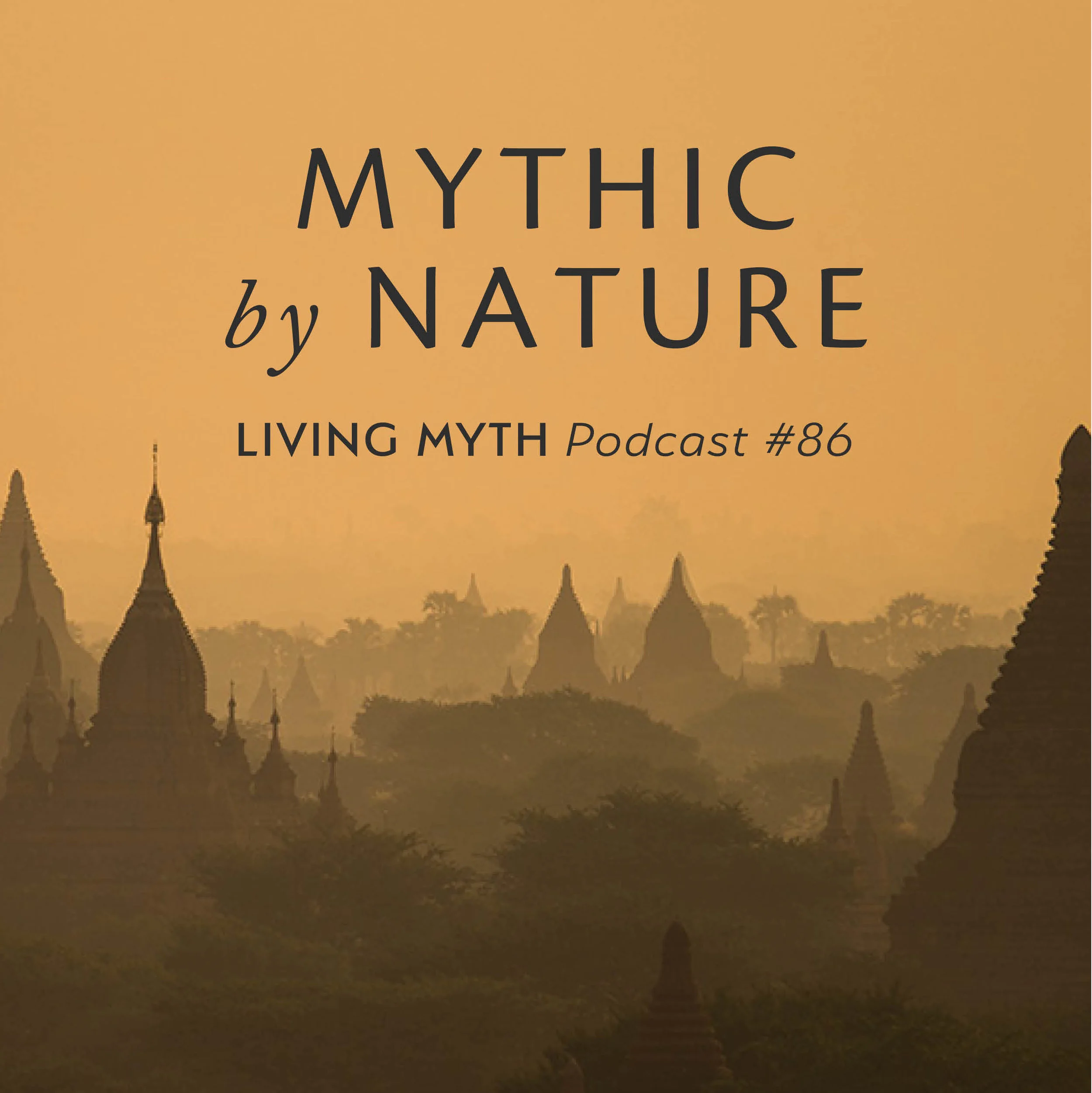 LM 86 header square.jpg