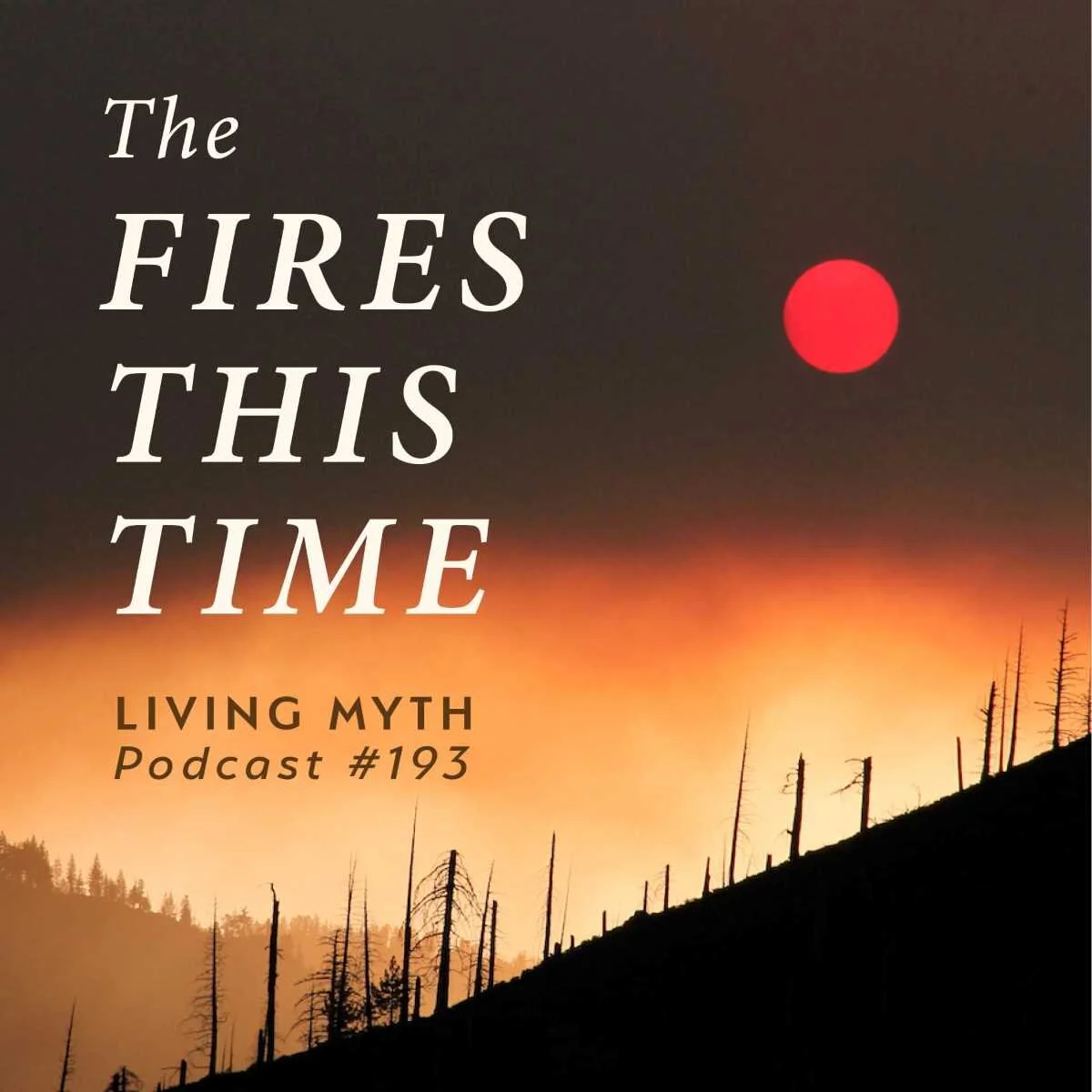 Living Myth Podcast #193 with Michael Meade - Square.jpg