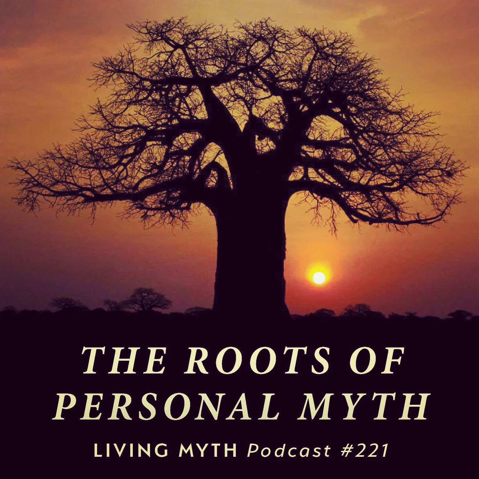 Living Myth Podcast #221 with Michael Meade 2.JPG