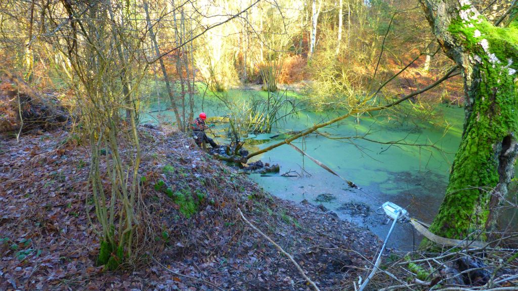 pulling trees out of ponds.jpg