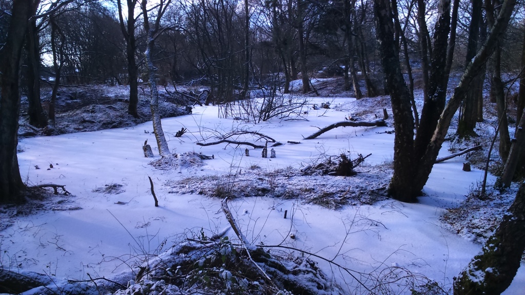 pond in snow.jpg