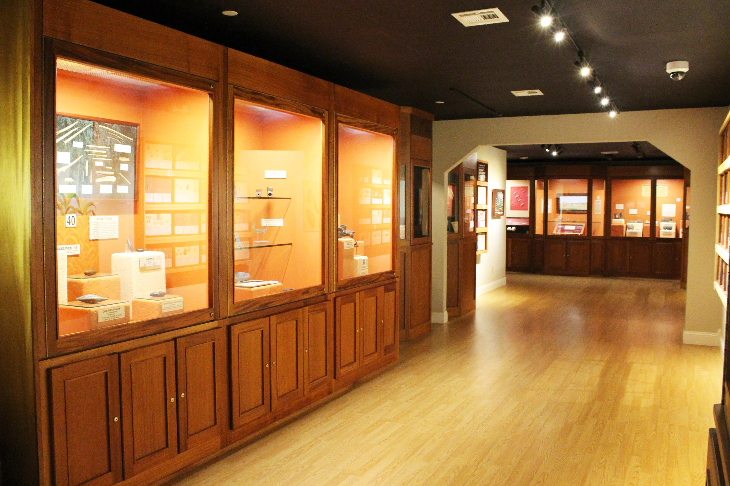 Woodland Exhibit