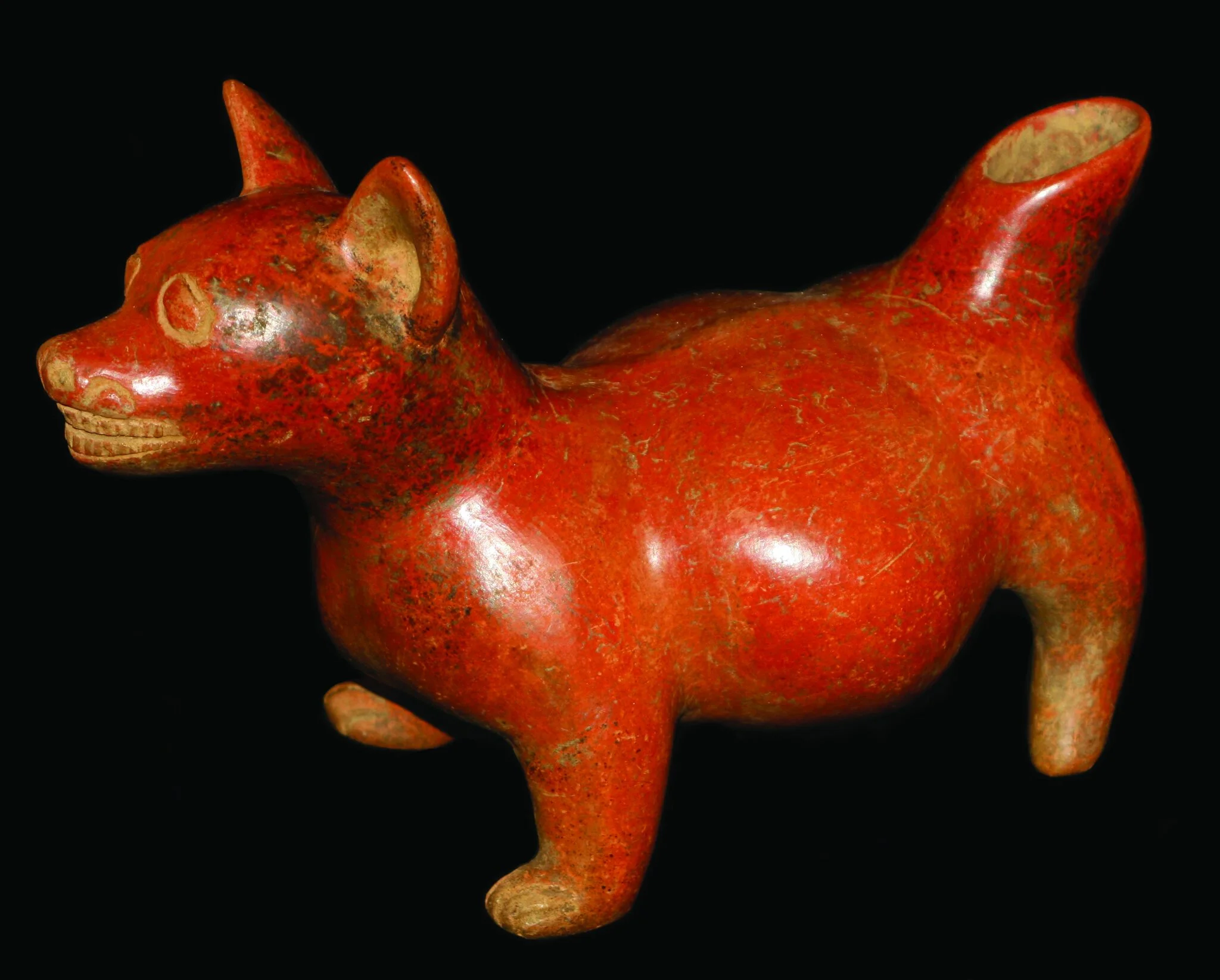 Ancient Colima Artifact: Colima Dogs — monah
