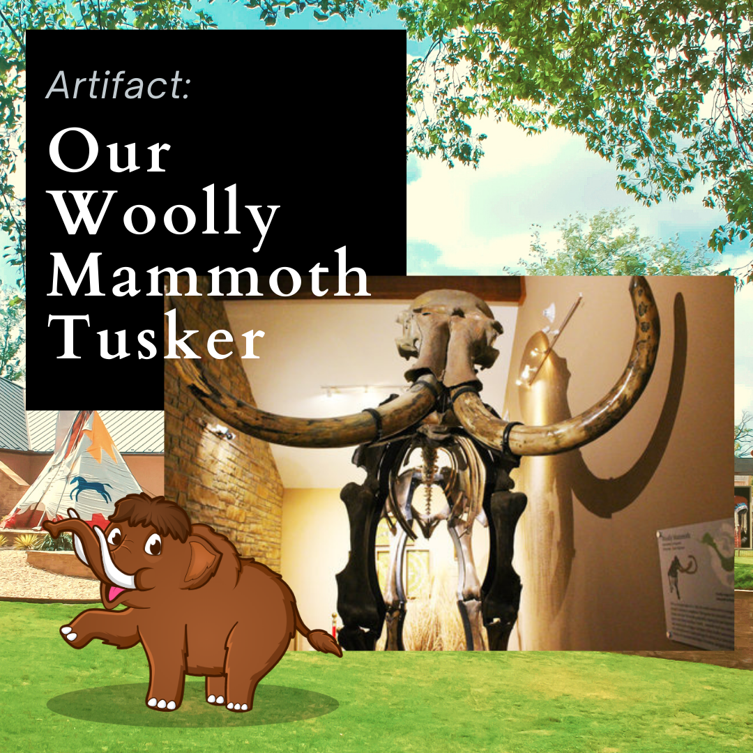 Tusker, Our Woolly Mammoth!