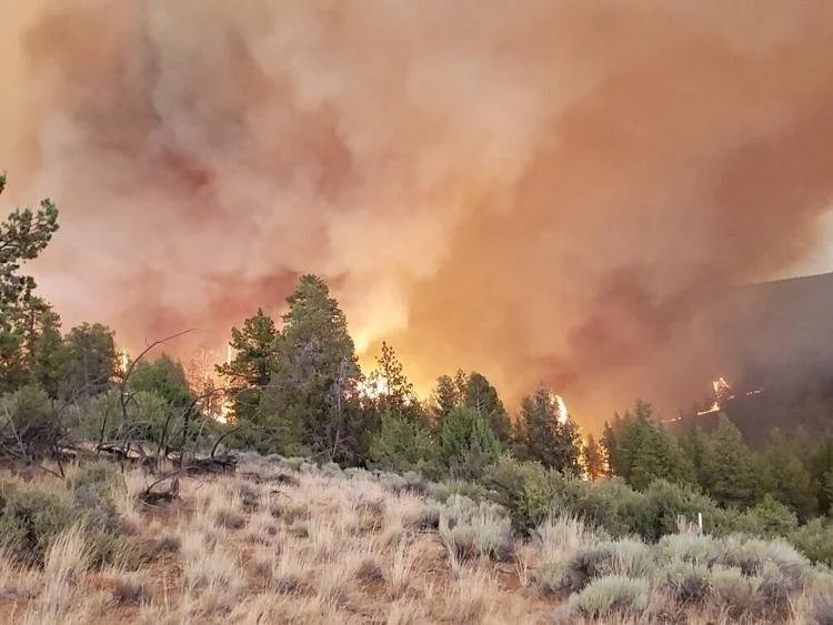 Indigenous practice could be key to taming wildfires