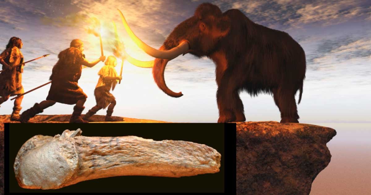 Oldest Bone Projectile Point in the Americas Found Stuck in a Mastodon’s Rib!