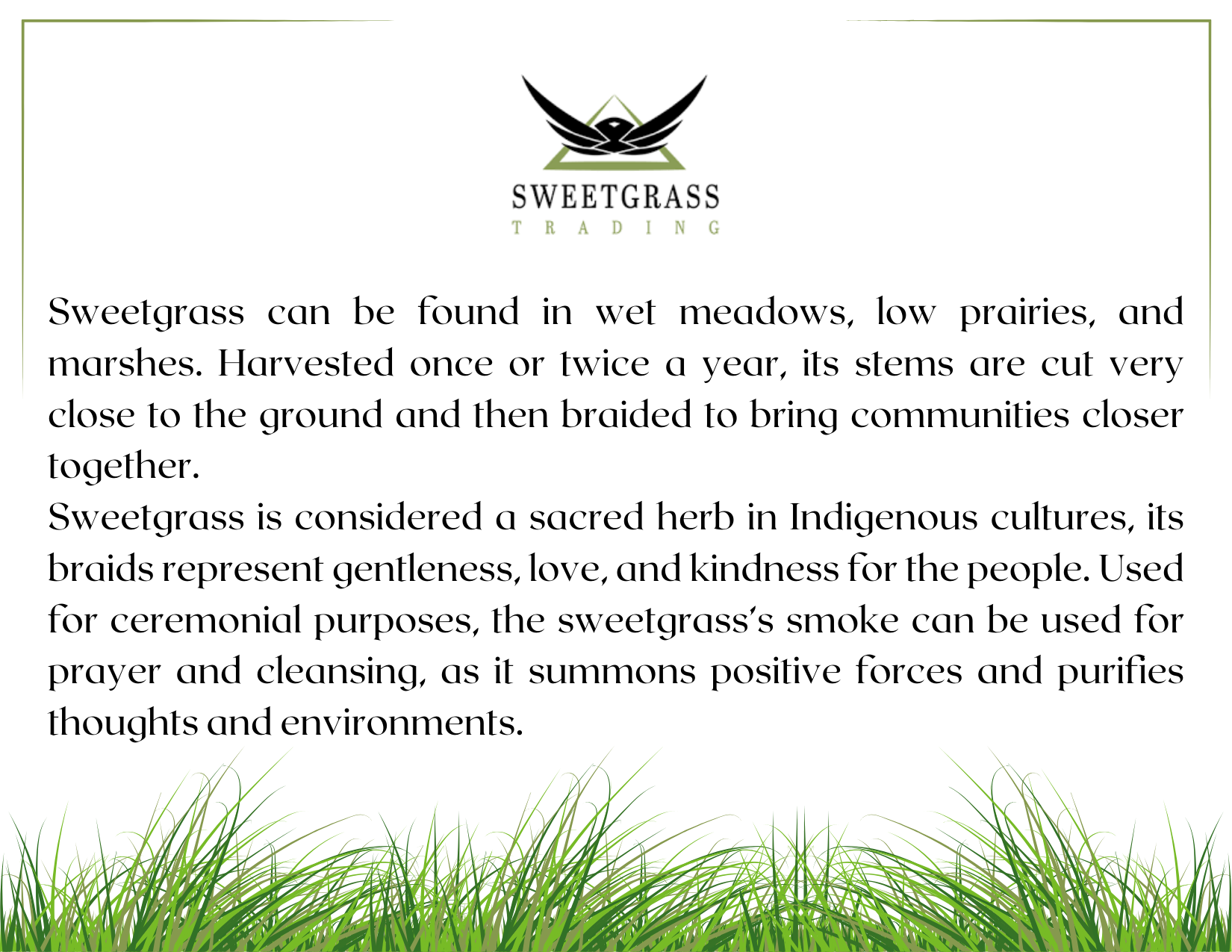 Sweetgrass Card.png