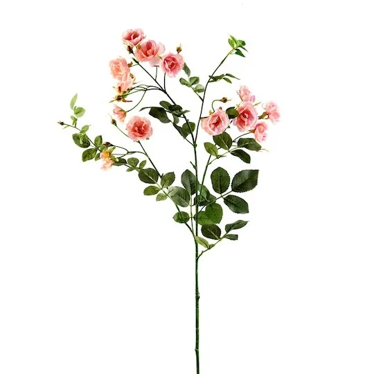 spray roses.jpg