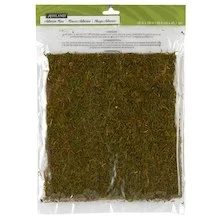 Moss.jpg