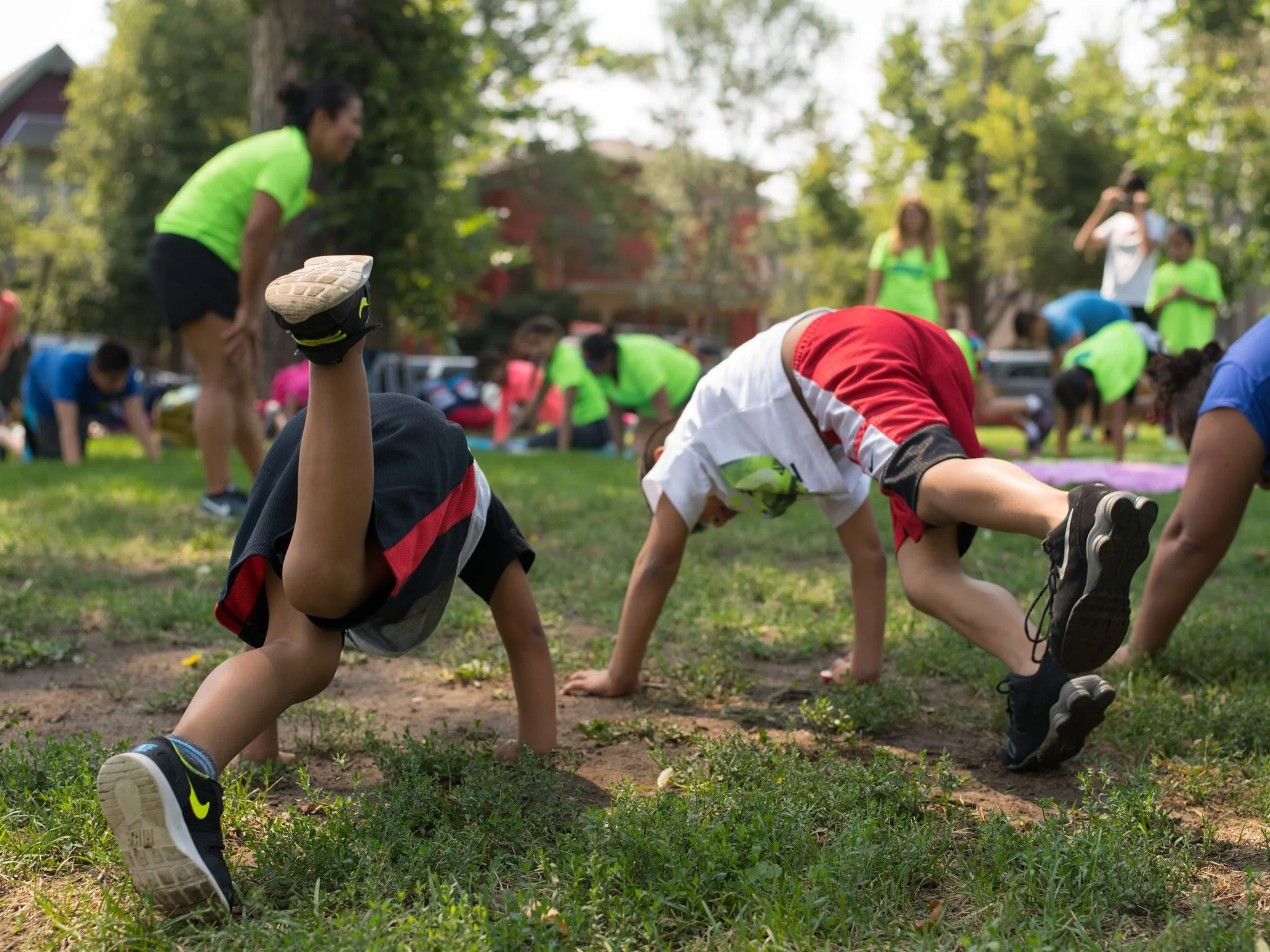VIVE Summer in the Park .jpg