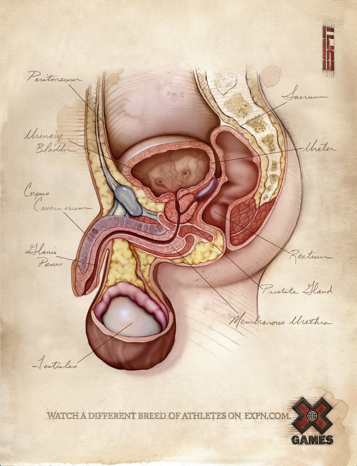 Screen Shot 2018-01-22 at 10.45.43 AM.png