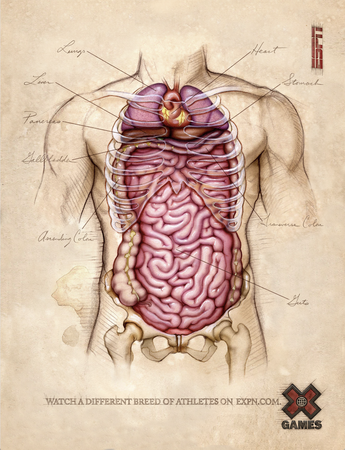 Screen Shot 2018-01-22 at 9.45.26 AM.png