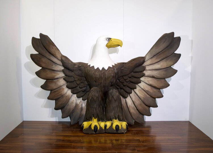 The 3D Bald Eagle 