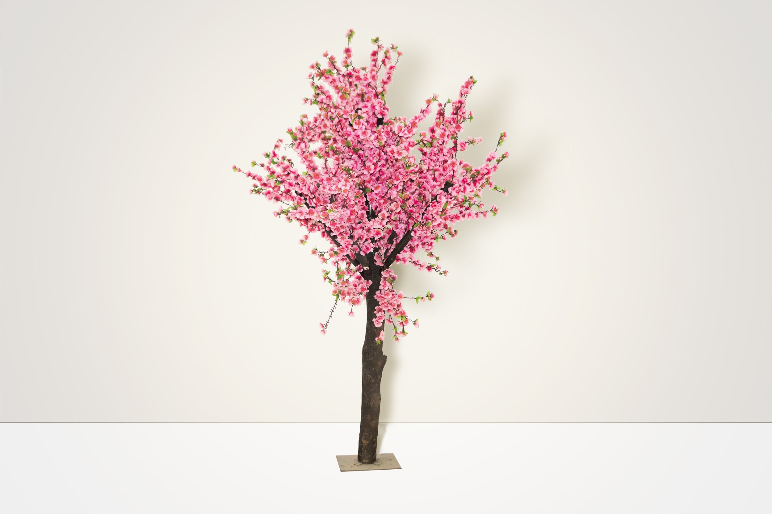 The Cherry Blossom Tree 6'H