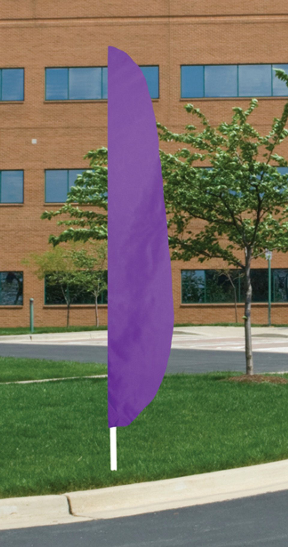 The Purple Feather Flag
