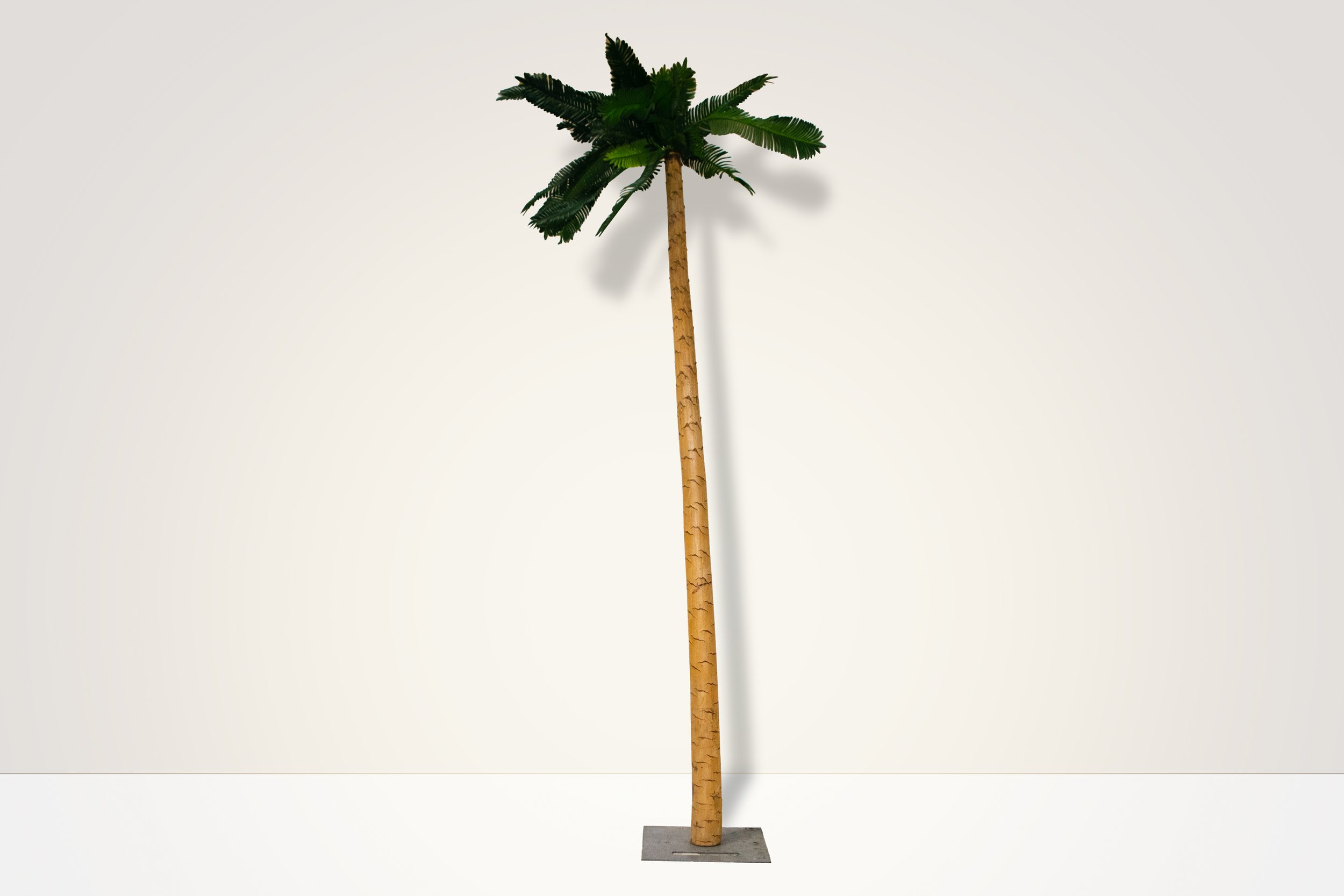 The 3D Palm Tree w/ Realistic Trunks