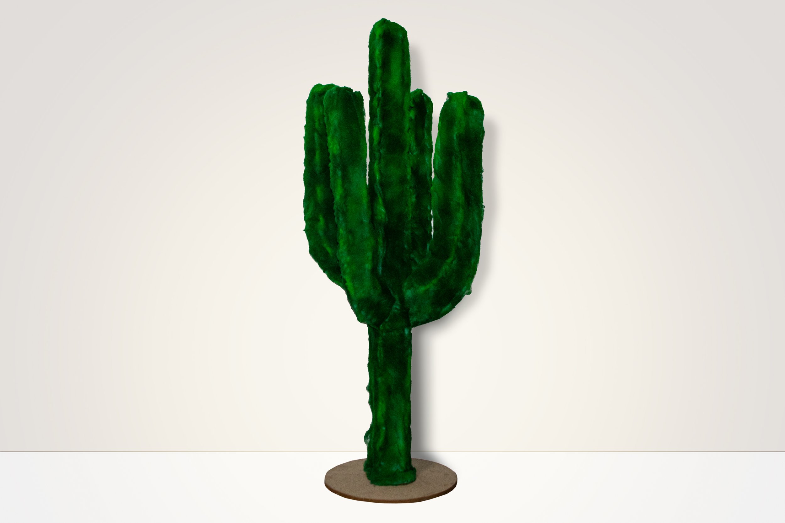 The Fuzzy Green Cactus