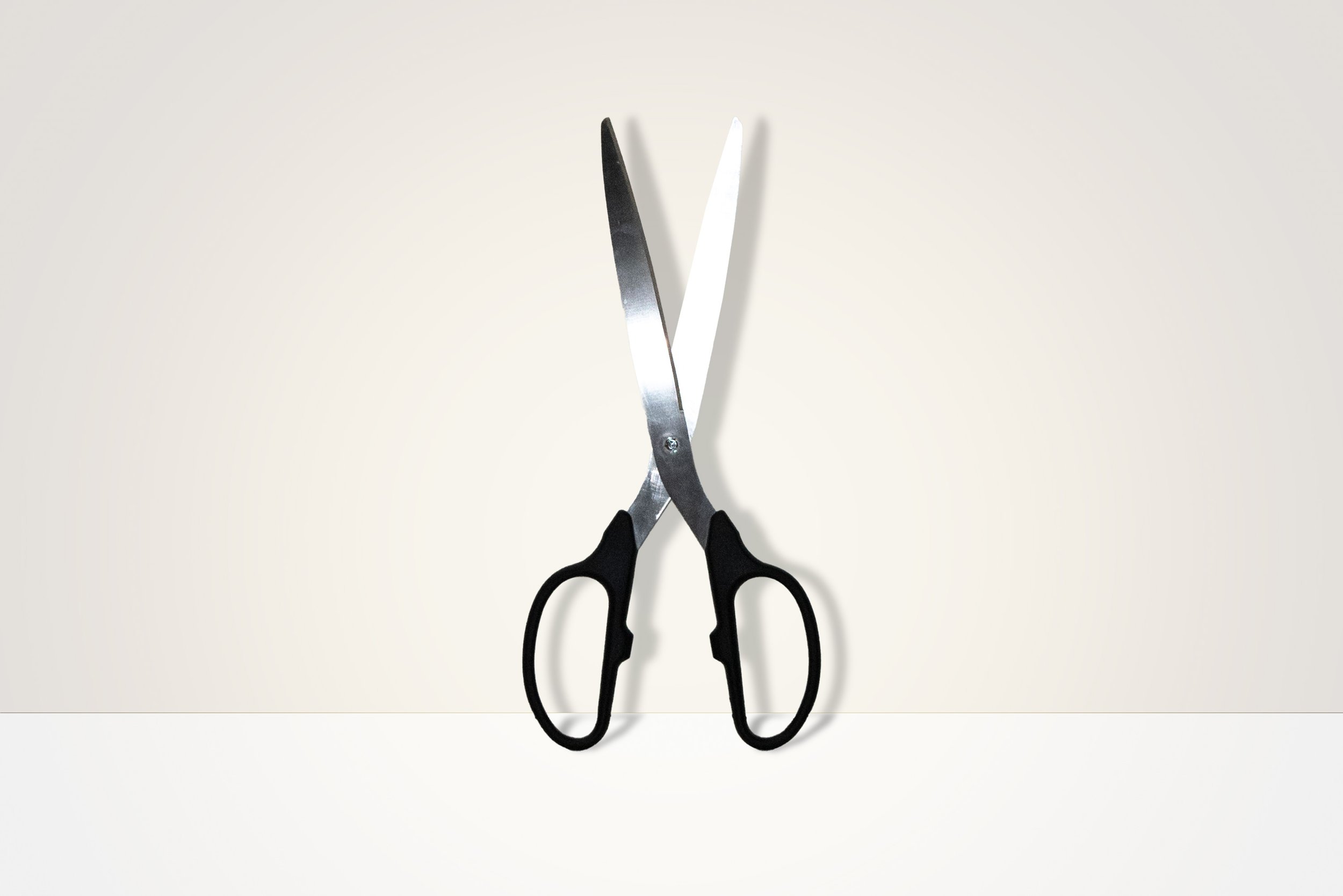The Ribbon Cutting Scissors