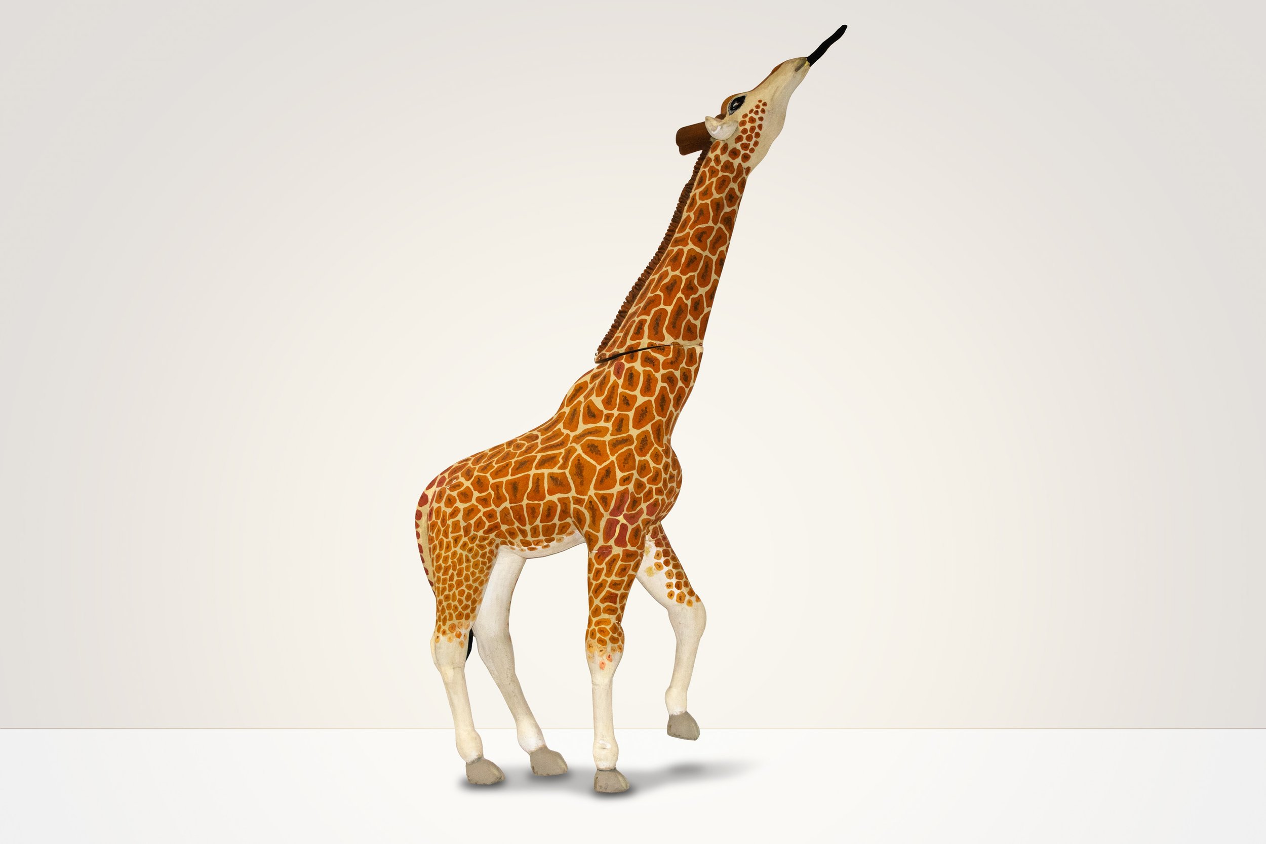 The 3D Giraffe