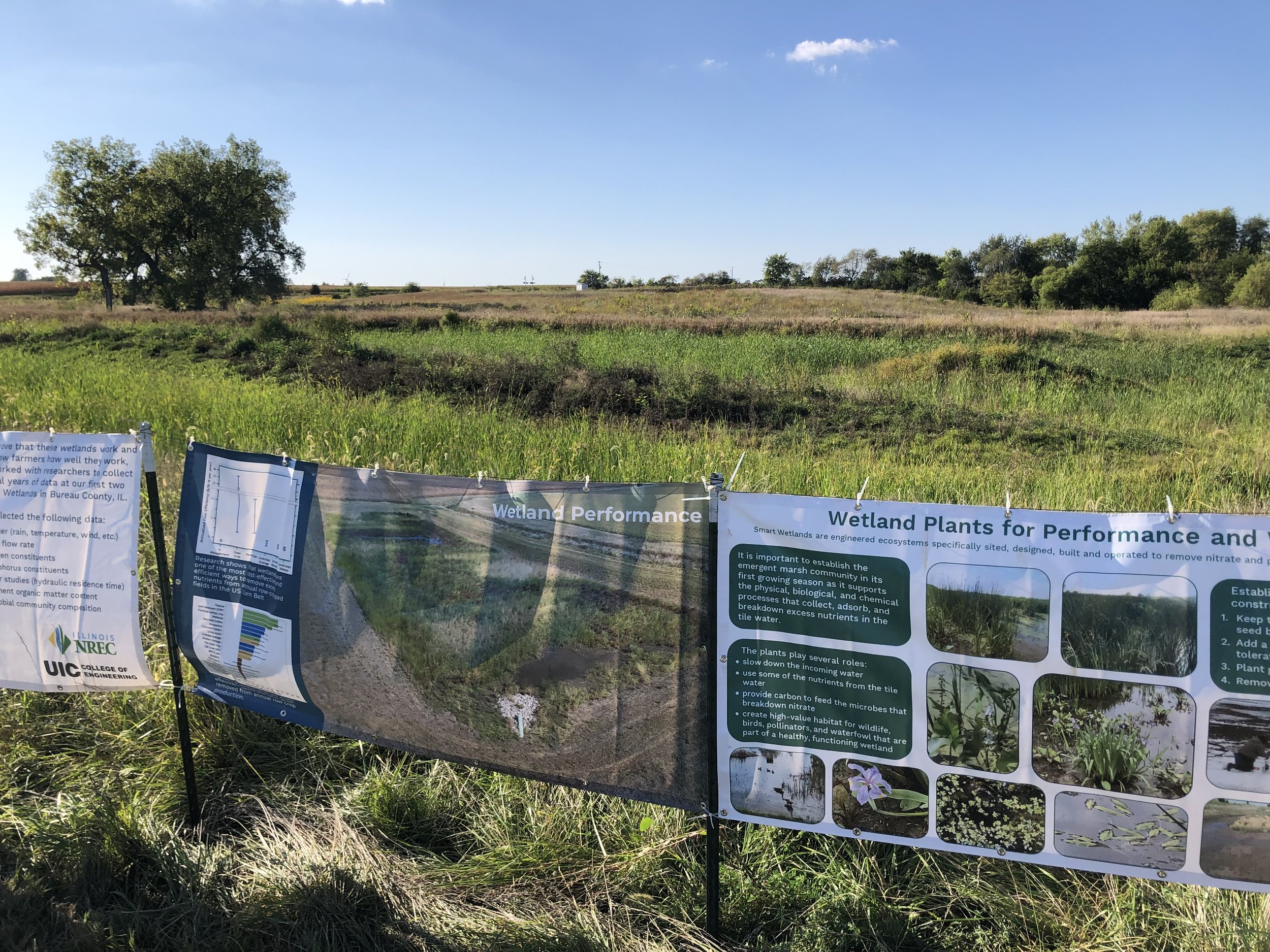 IMG_8778-- Banners and Wetland.JPG