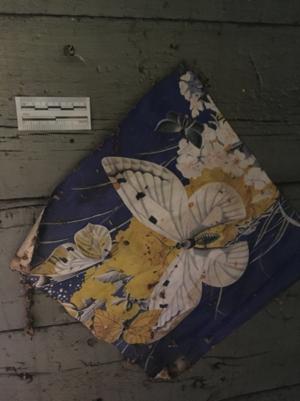 Butterfly.png
