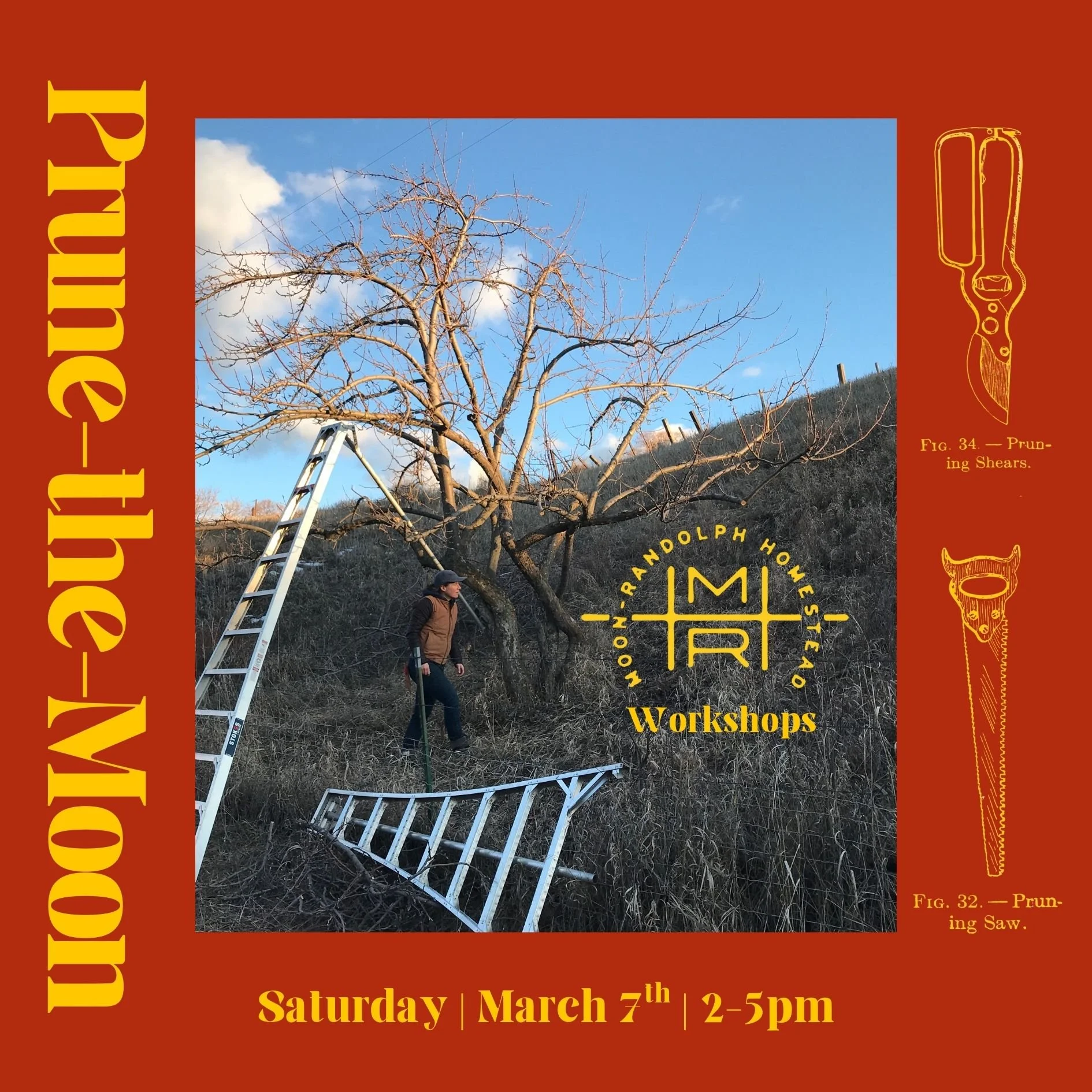 Workshop: Prune-the-Moon