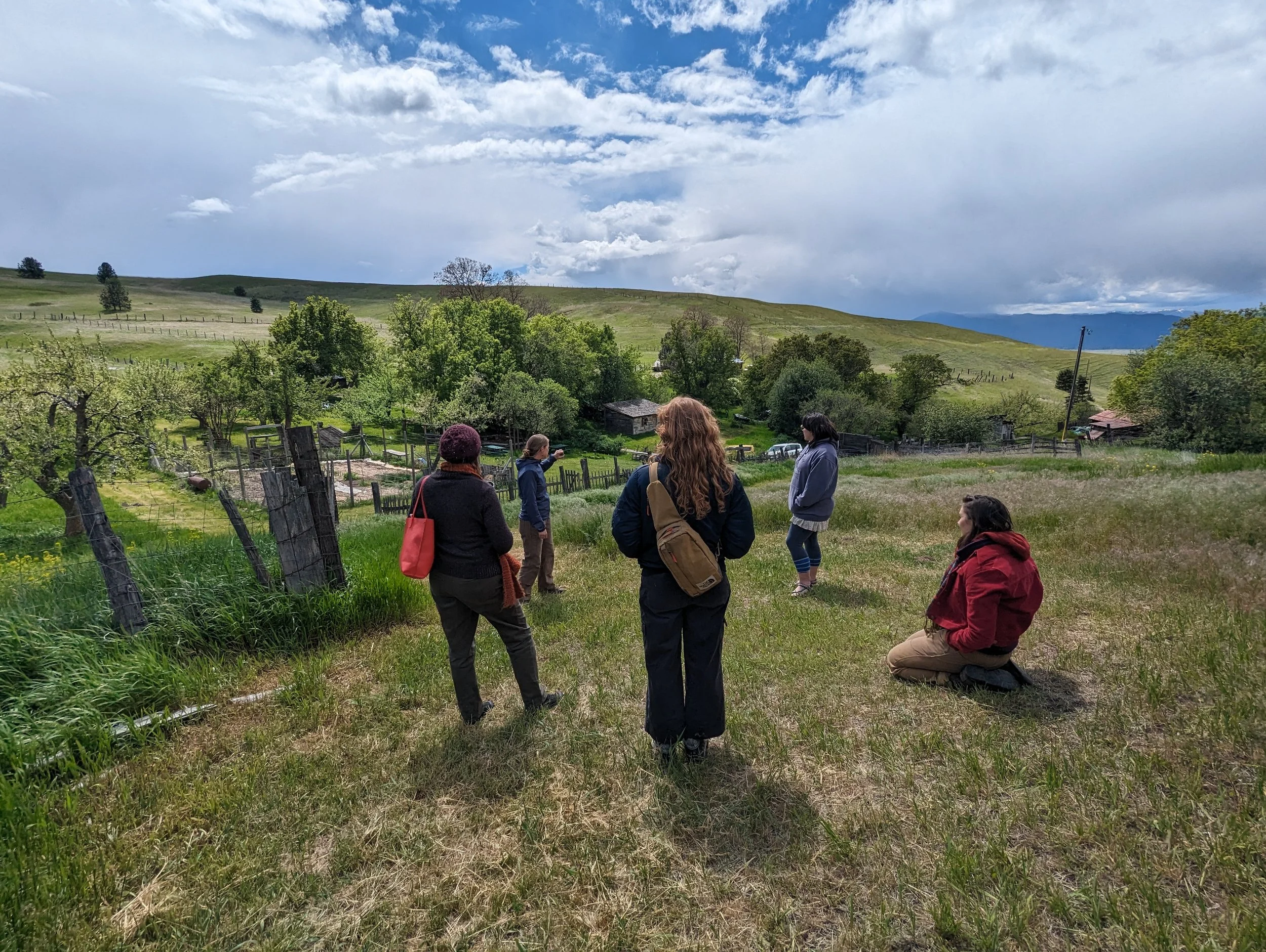 Tour guides: Applications due