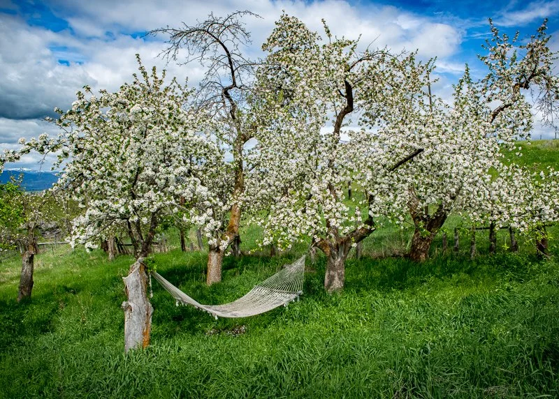 Briar Diggs_Spring17_2.jpg