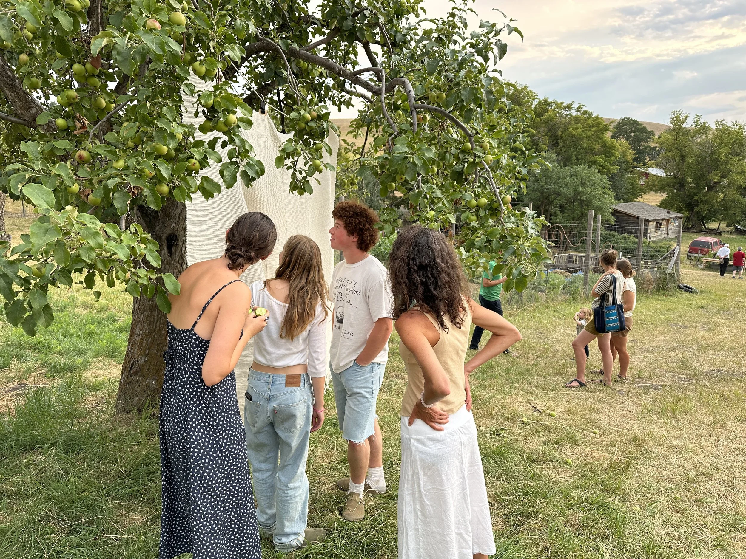 Artist-in-Residence Presentation with Open AIR